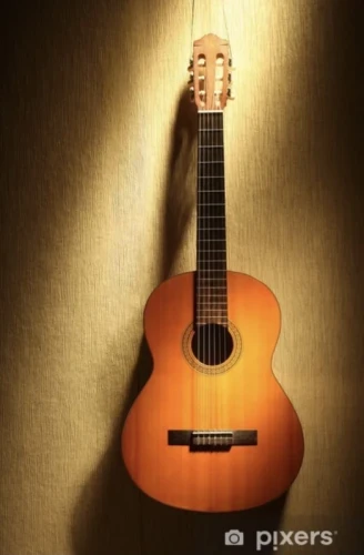 Tertemiz elektro gitar 1