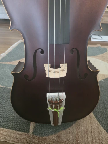 palmer çello 1