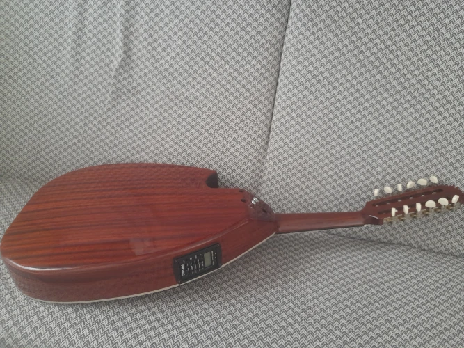 sadettin sandı elektro akustik ud 3
