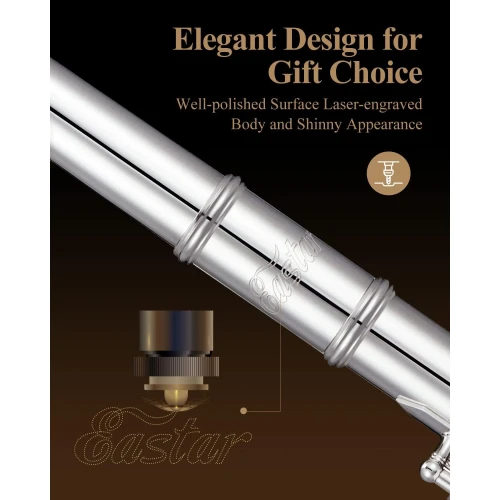 Eastar EFL-2 Yan Flüt (Gümüş Kaplama) 5