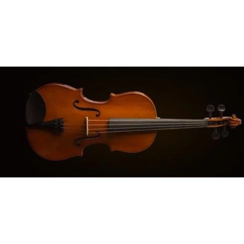 Valencia Va16040 Viyola Kutulu 15,5" 40cm 2