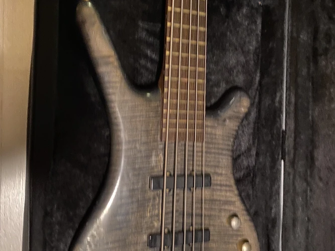 Corvette proline 5 1