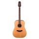 Takamine GD20-NS Akustik Gitar 2