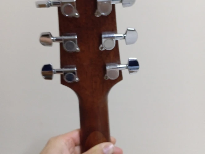 Takamine Gd 10ce NS 6