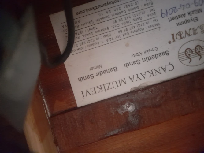 sadettin sandı elektro akustik ud 6