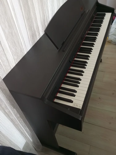 DP-3+ 4