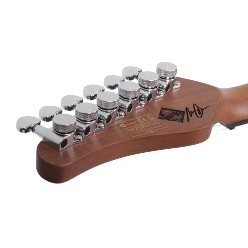Schecter Nick Johnston Signature Pt Elektro Gitar (Atomic Frost) 6