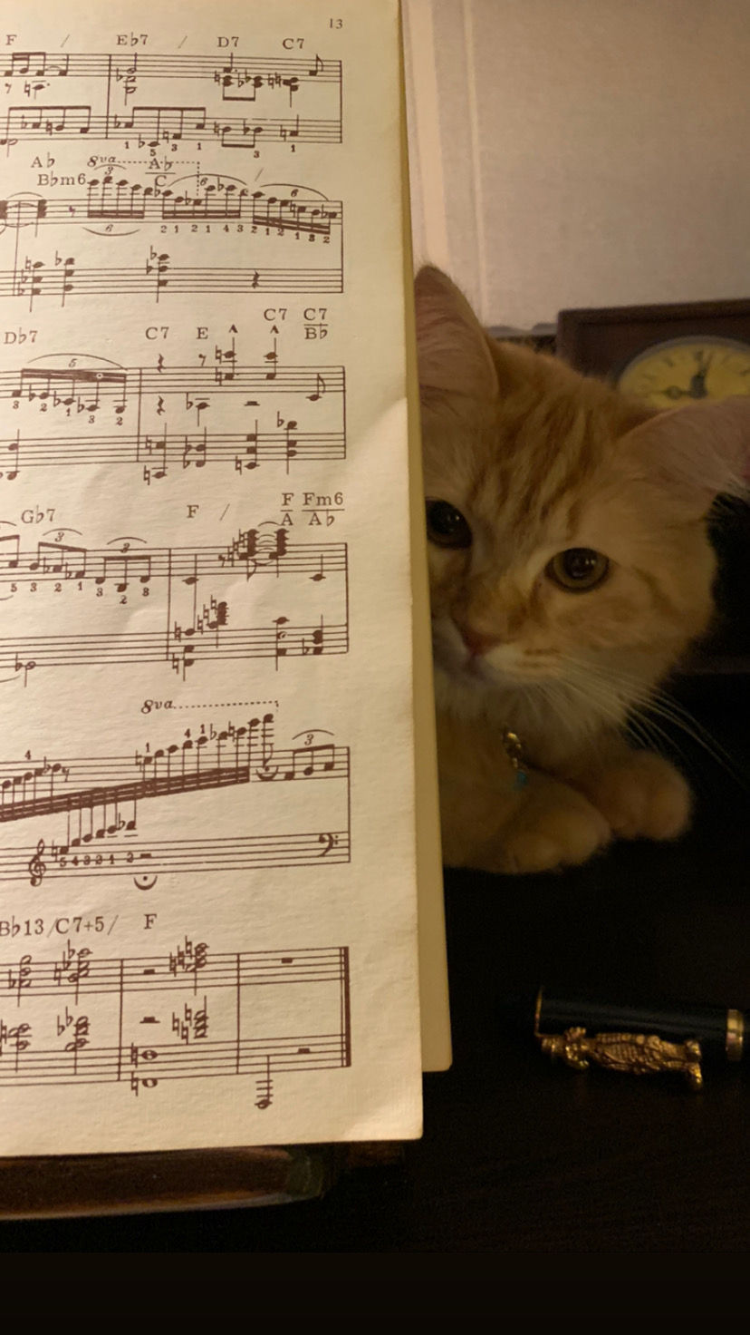 PianoPiano