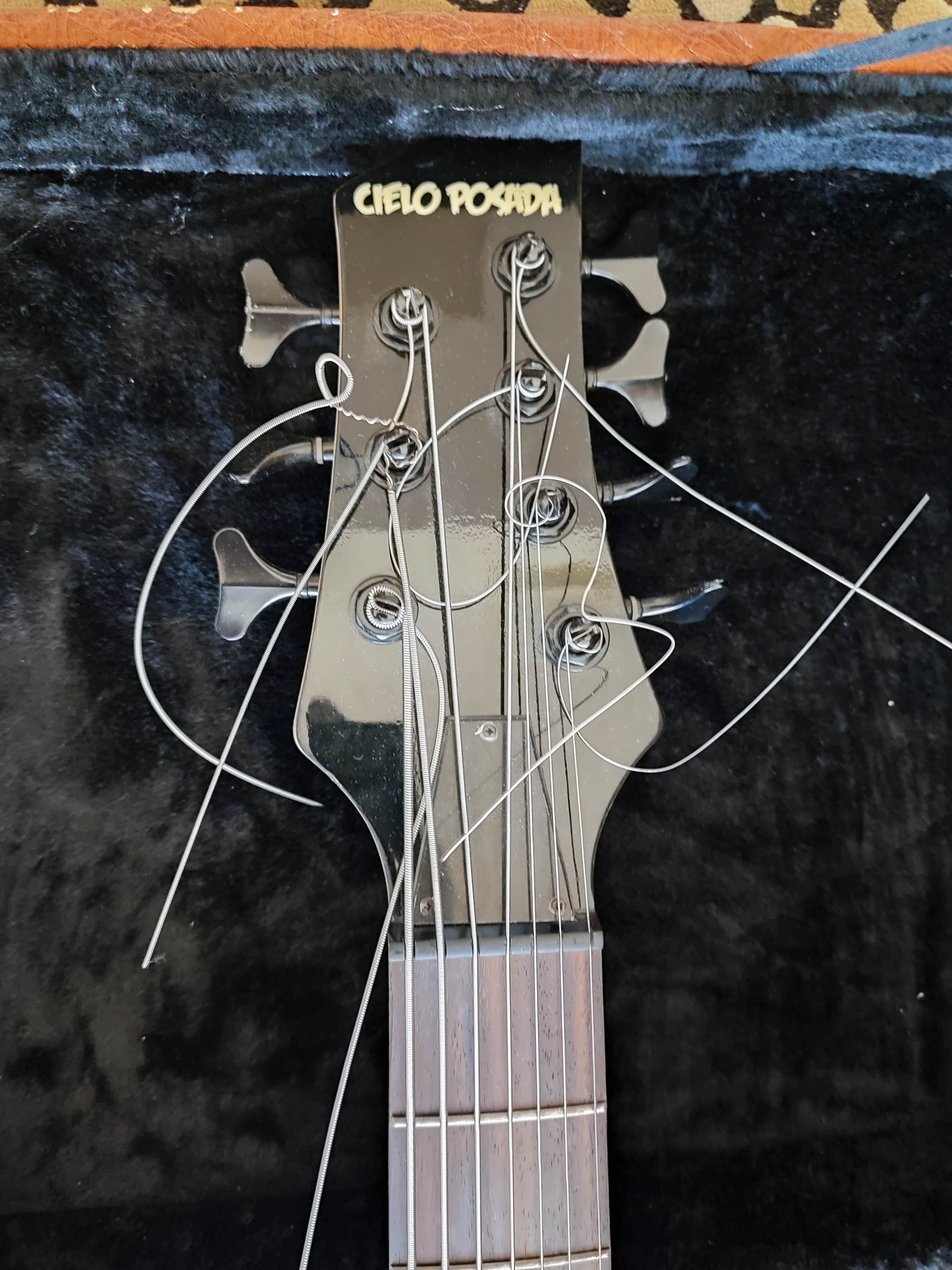 yedi telli bass 3