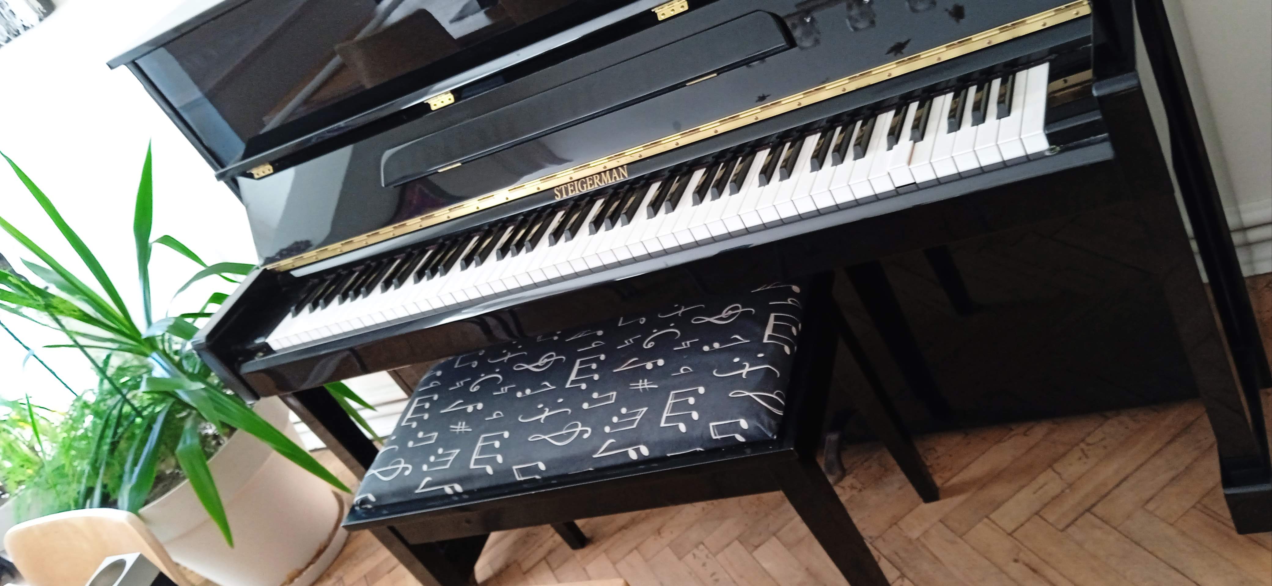 Steigerman konsol piyano 1