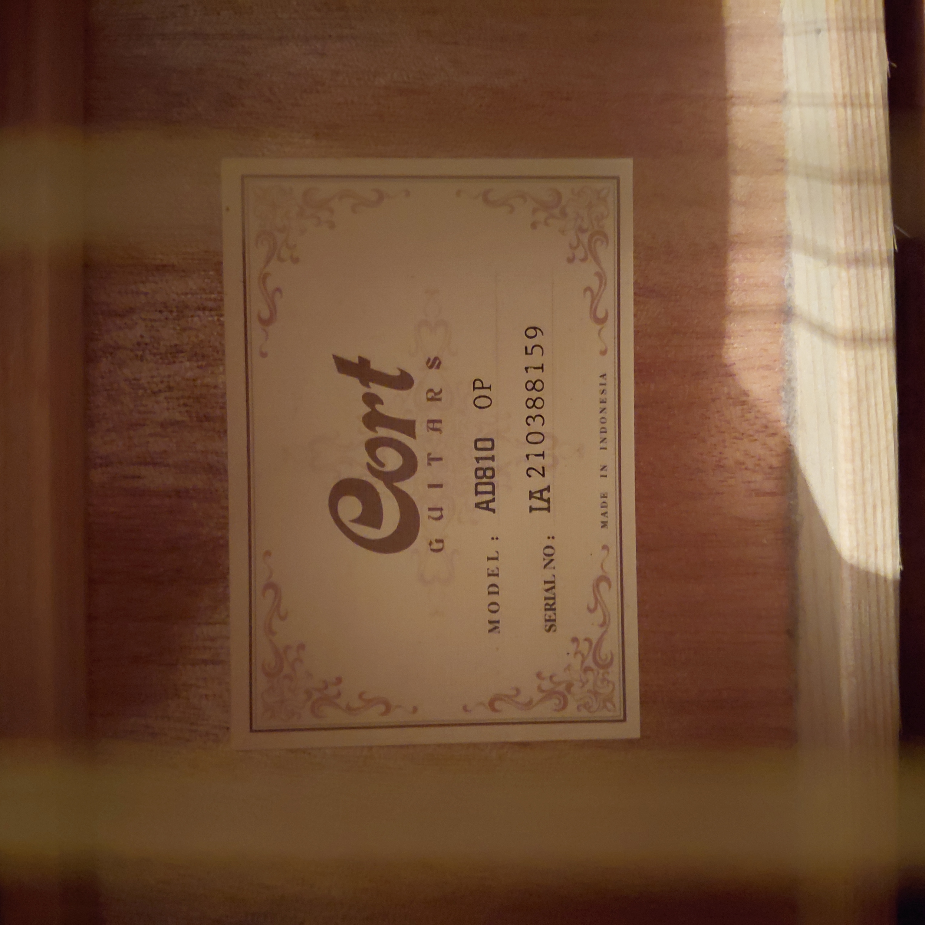 cort ad810op akustik gitar 2