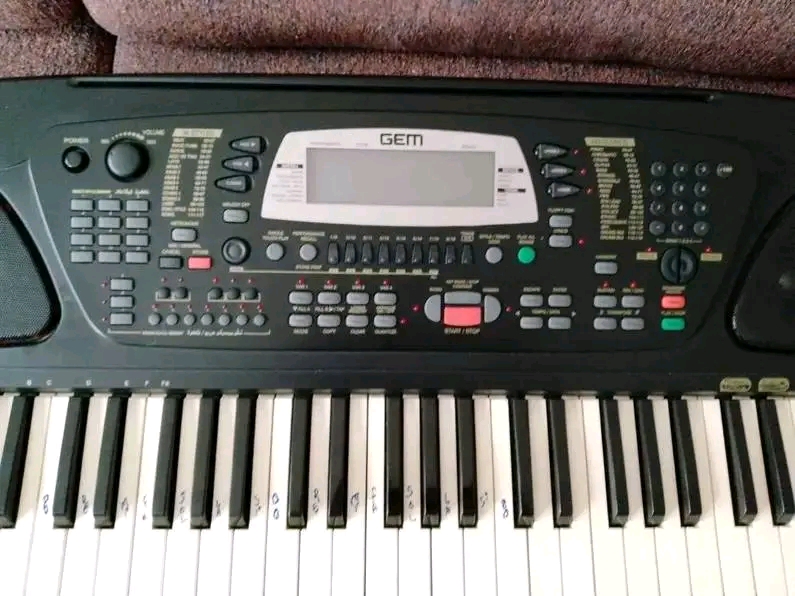 DÜĞÜN ORGU GEM WK1 ORYANTAL 2