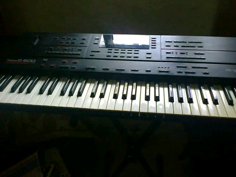 ORG ROLAND G600 1