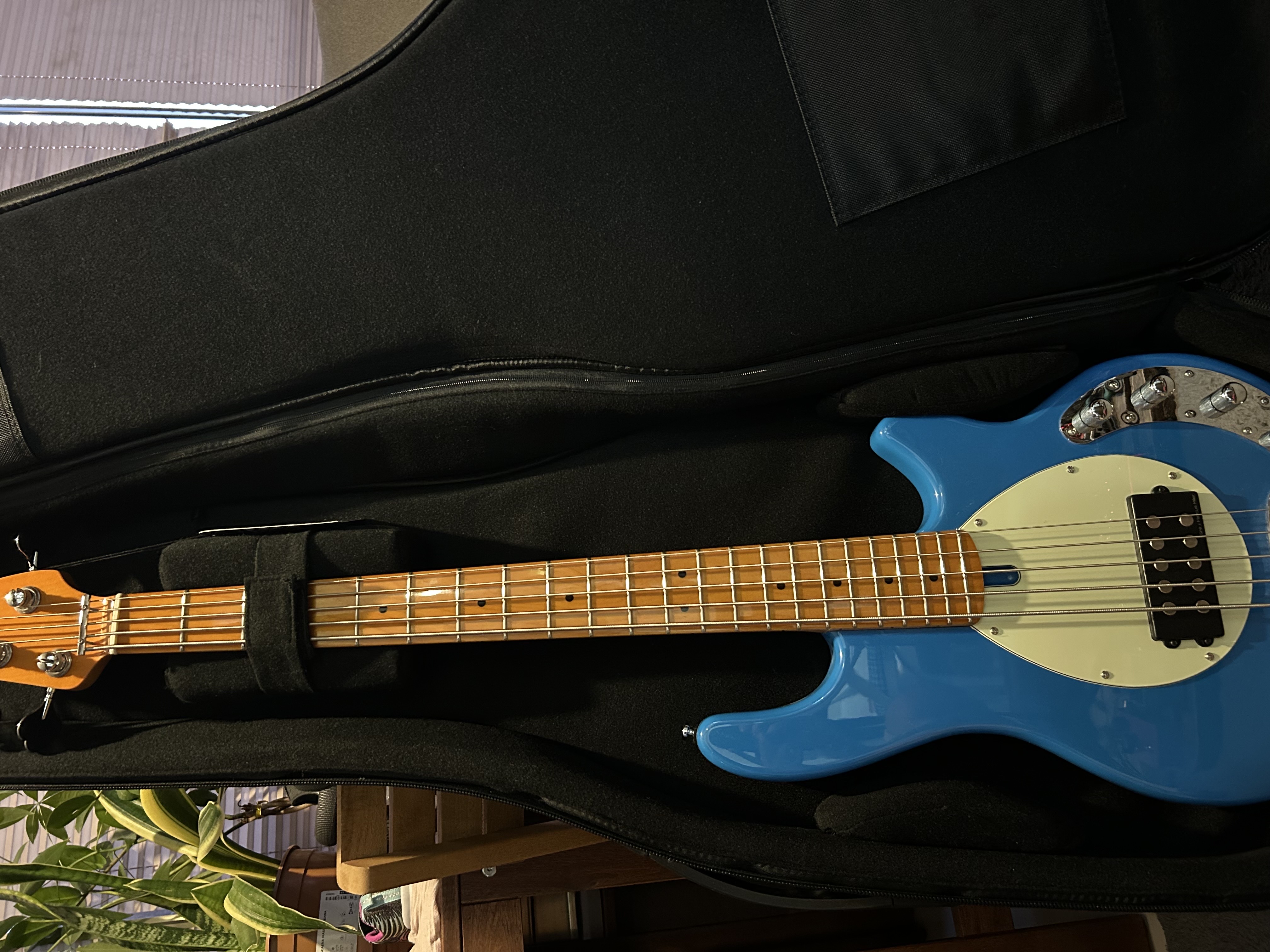 Marcus Miller Sire Z3 5 telli bas gitar 2