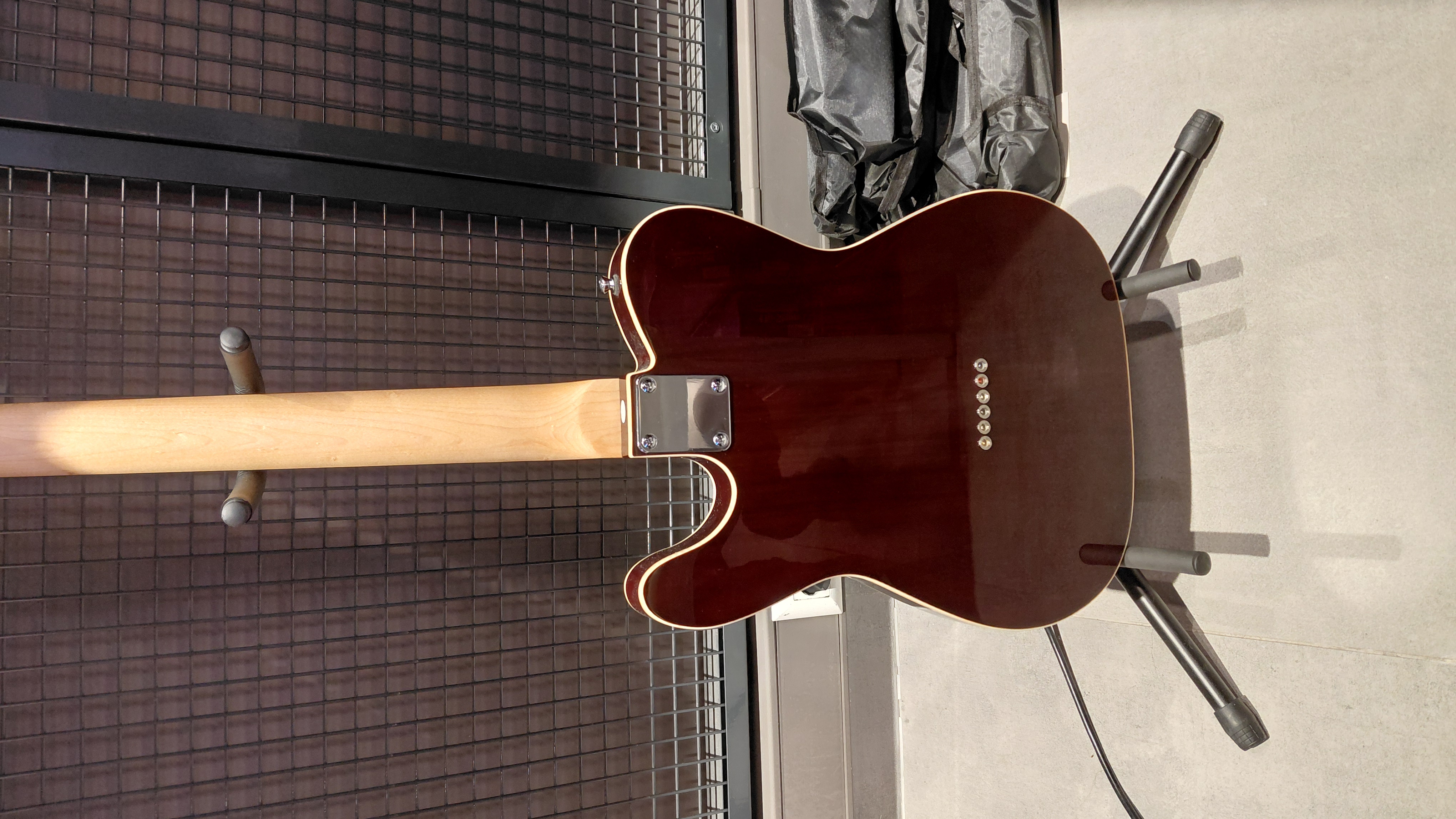 Tele caster Elektro Gitar 2