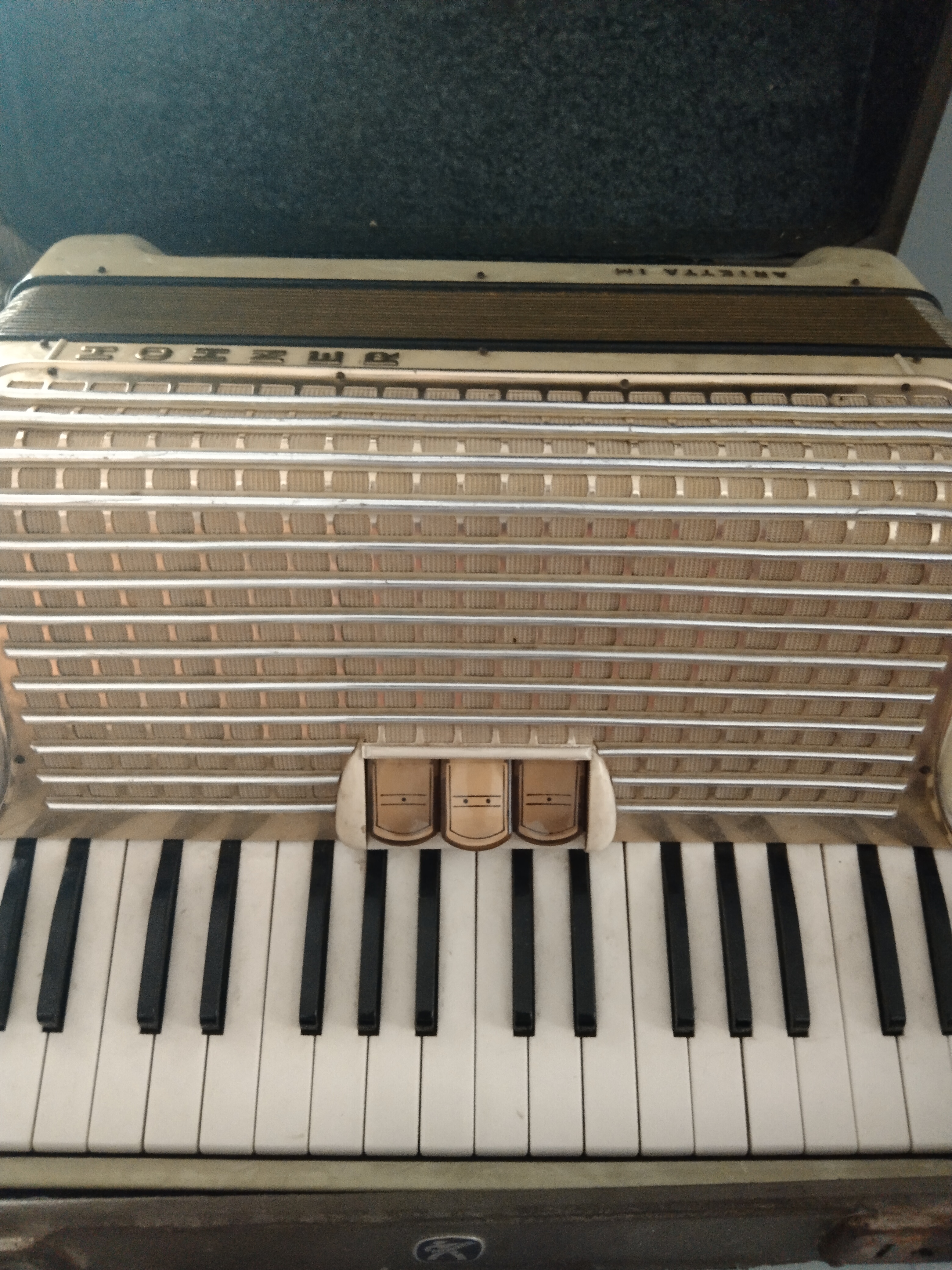 Hohner Akordeon 1