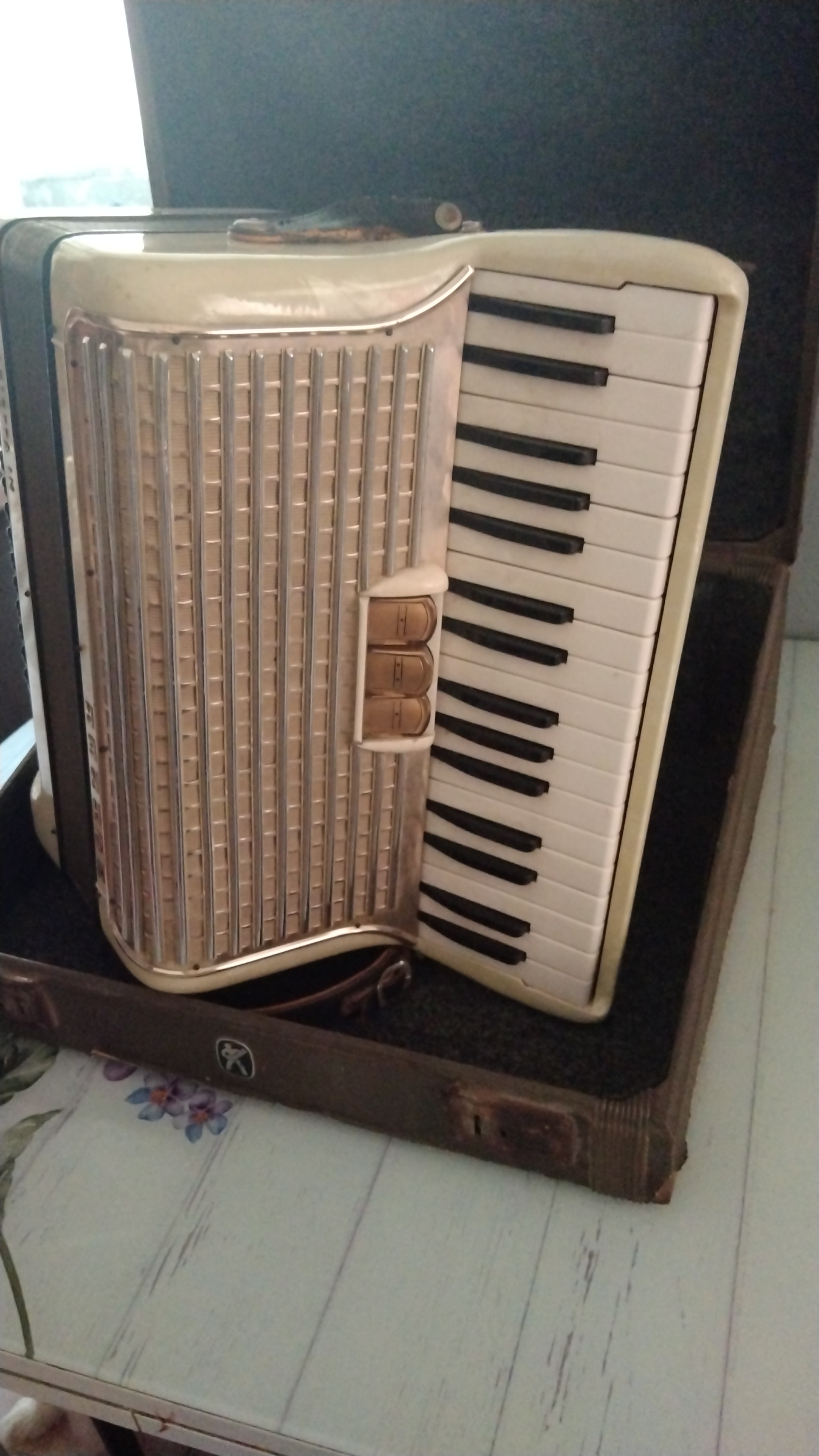 Hohner Akordeon 2