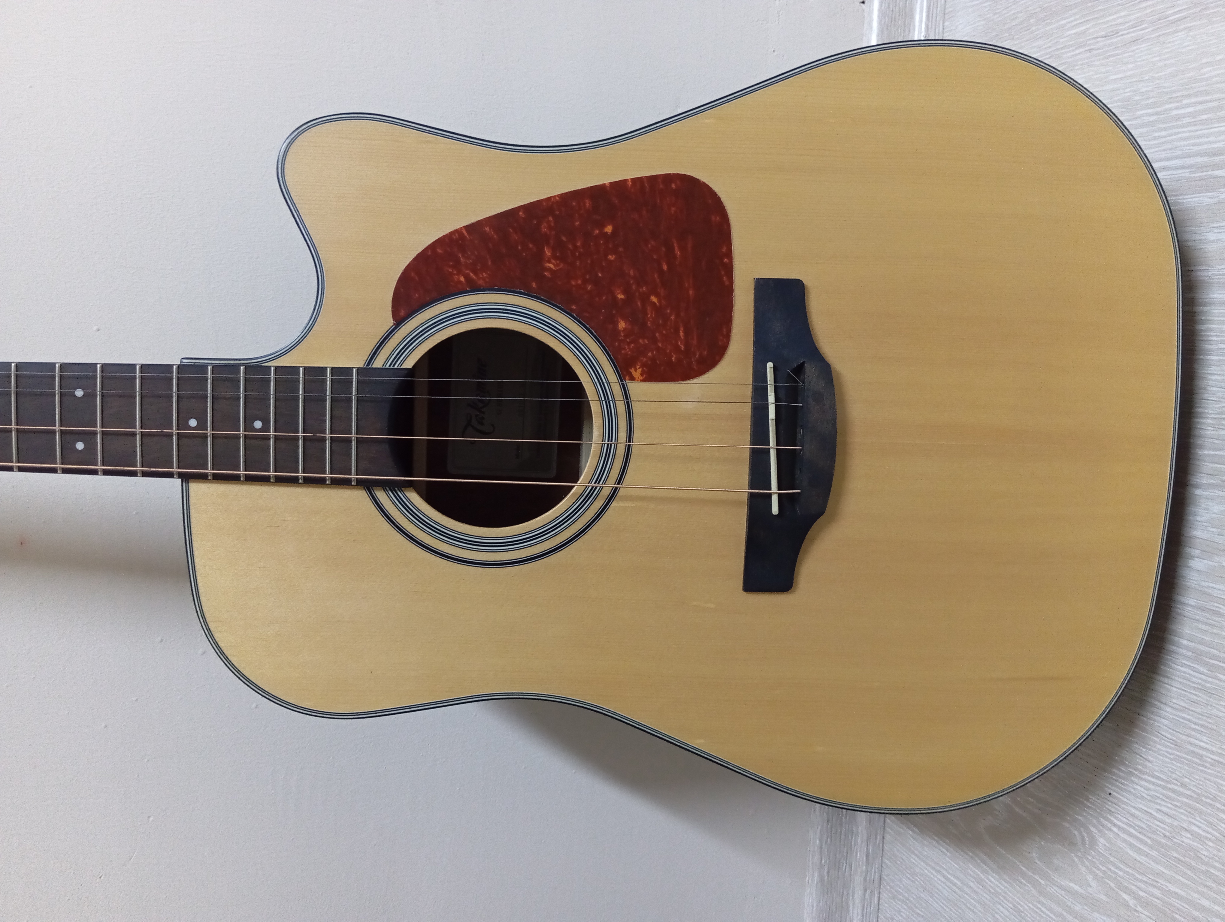 Takamine Gd 10ce NS 1