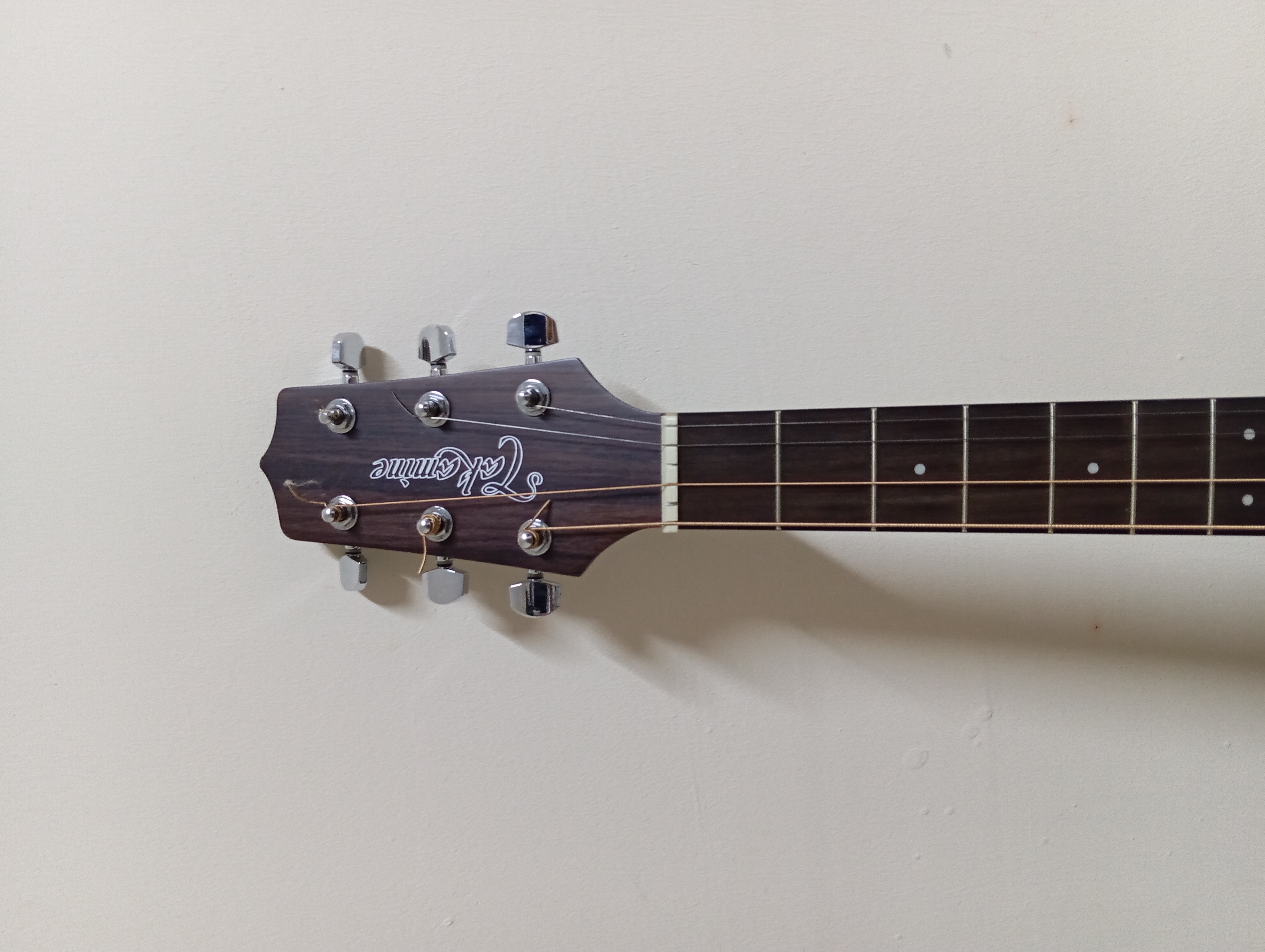 Takamine Gd 10ce NS 3