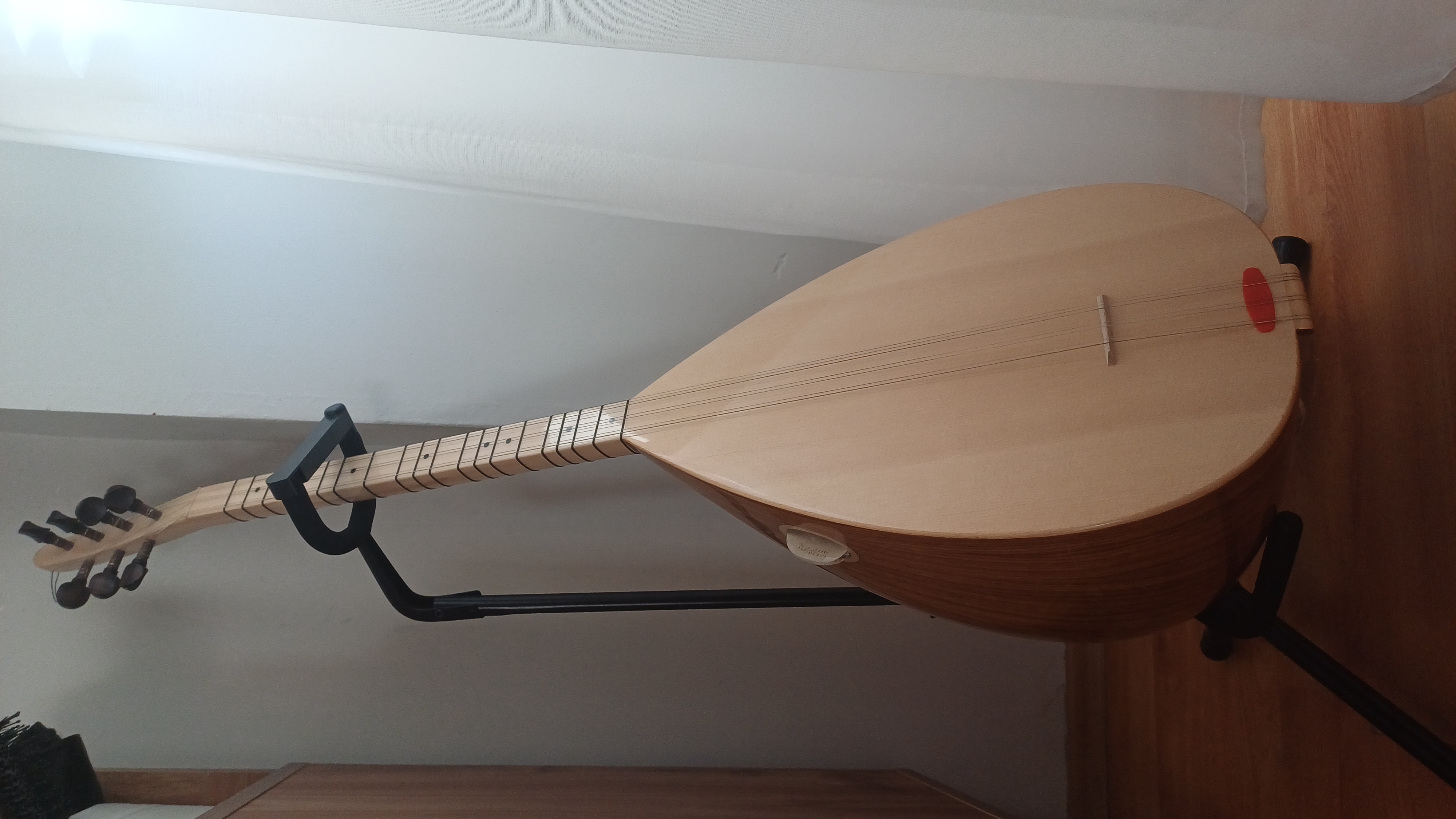 KISA SAP PROFESYONEL BAĞLAMA 1