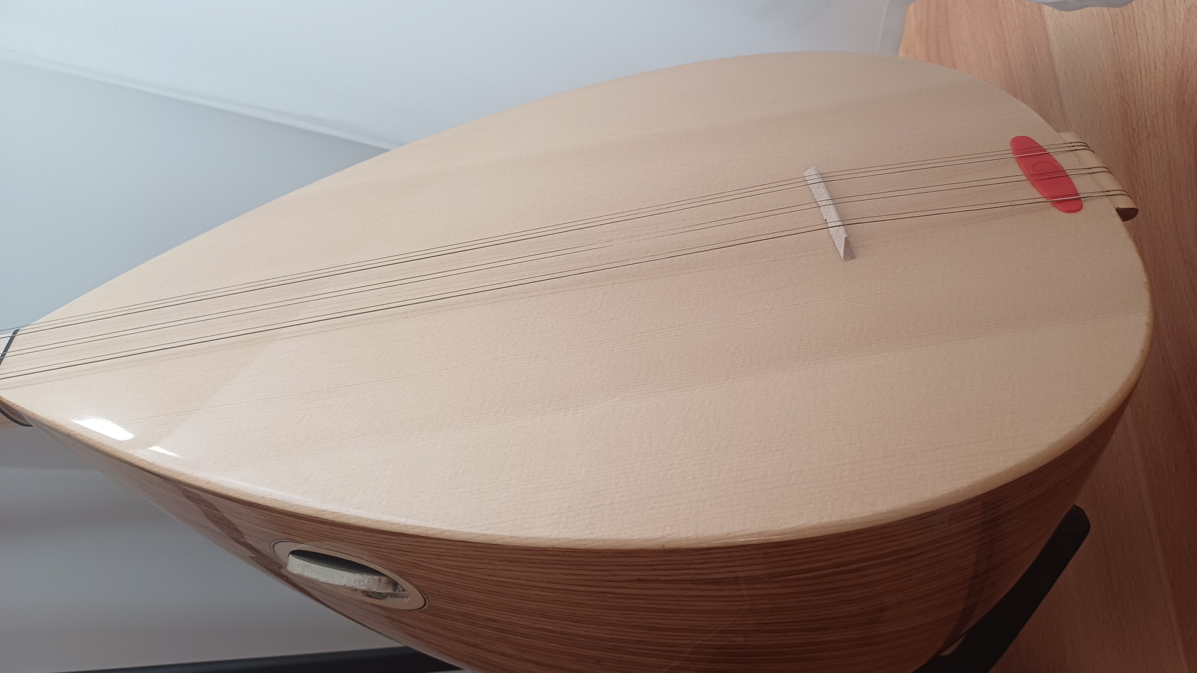 KISA SAP PROFESYONEL BAĞLAMA 2