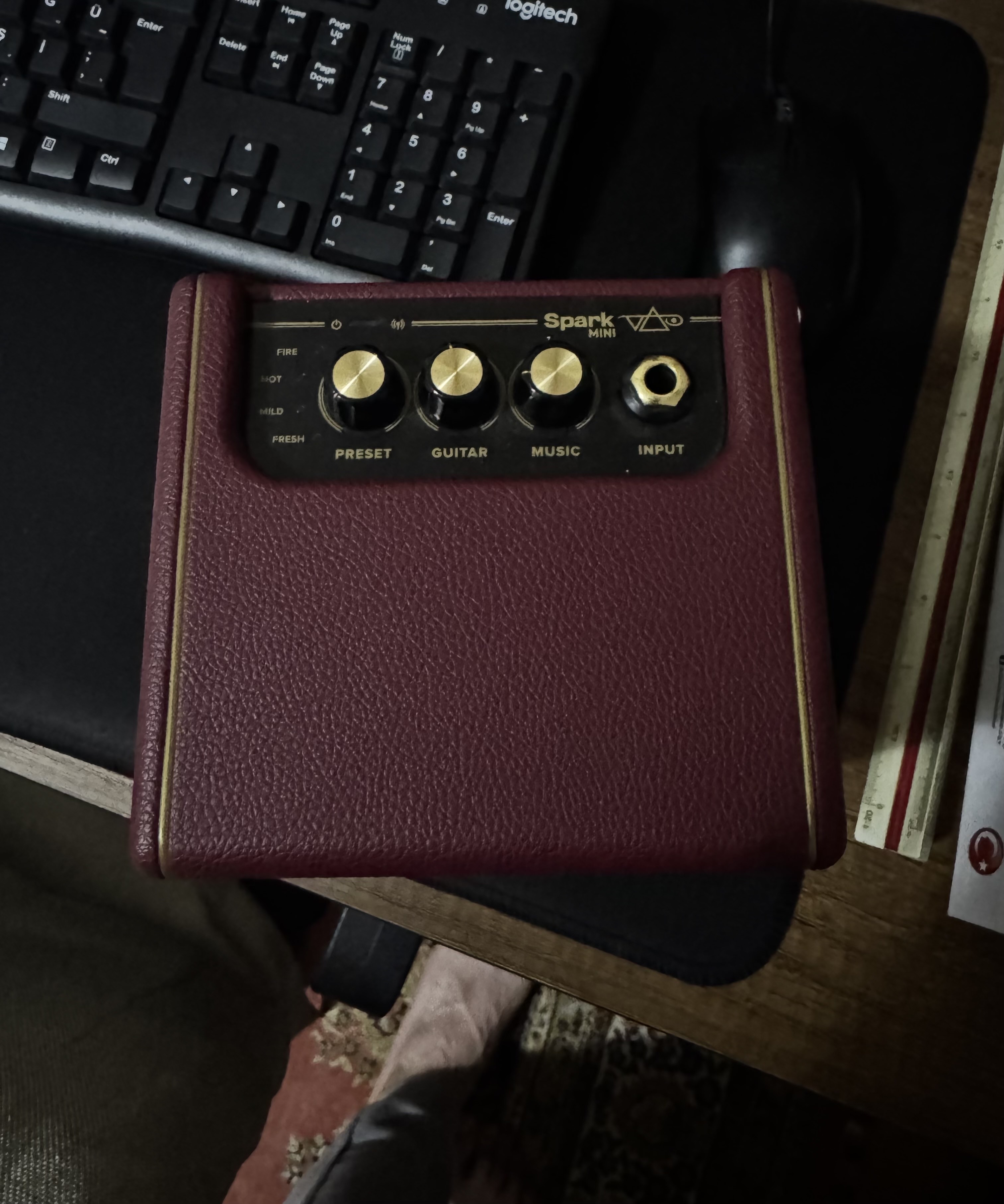 Positive Grid Spark Mini Steve Vai Signature Akıllı Gitar Amfisi 3