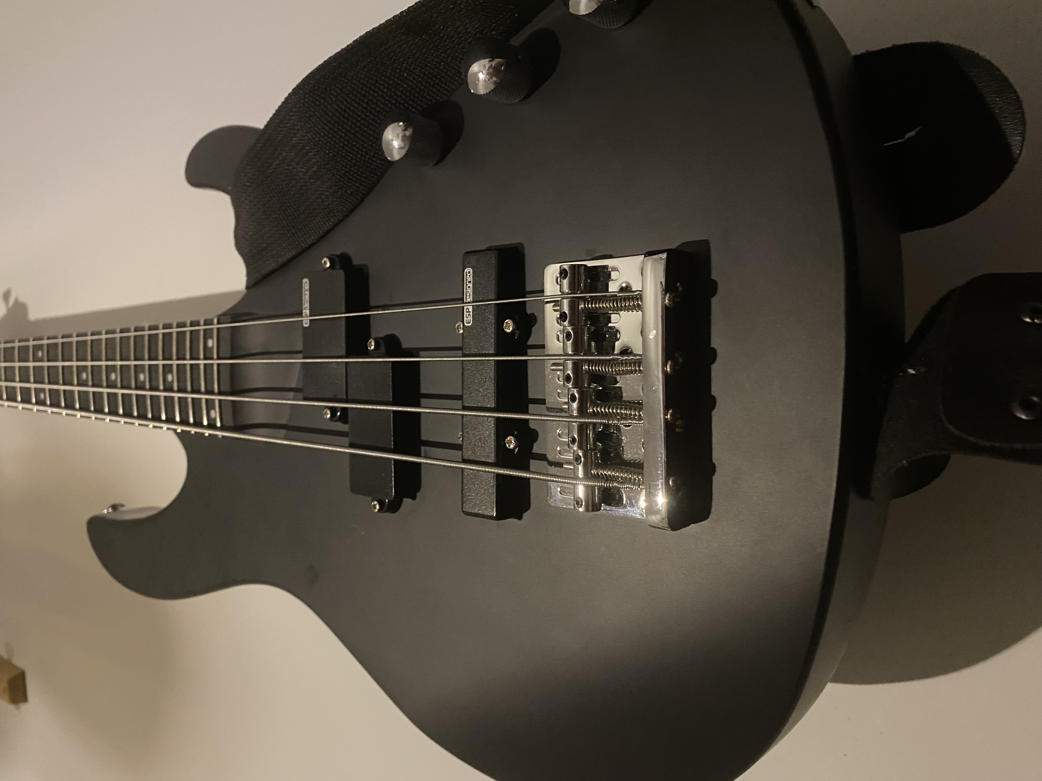 ESP LTD B10 Bass Gitar 1