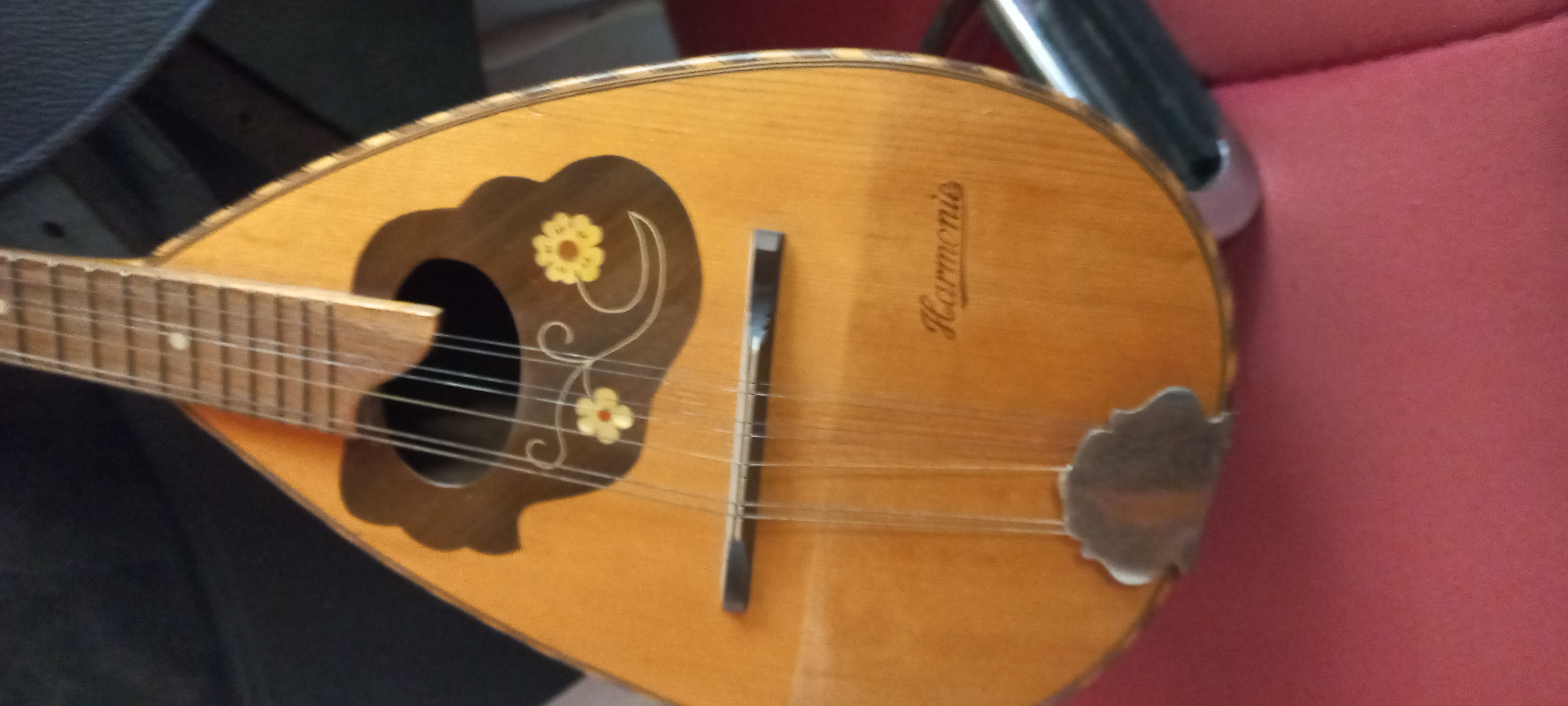 Mandolin (orj.elyapım) 1