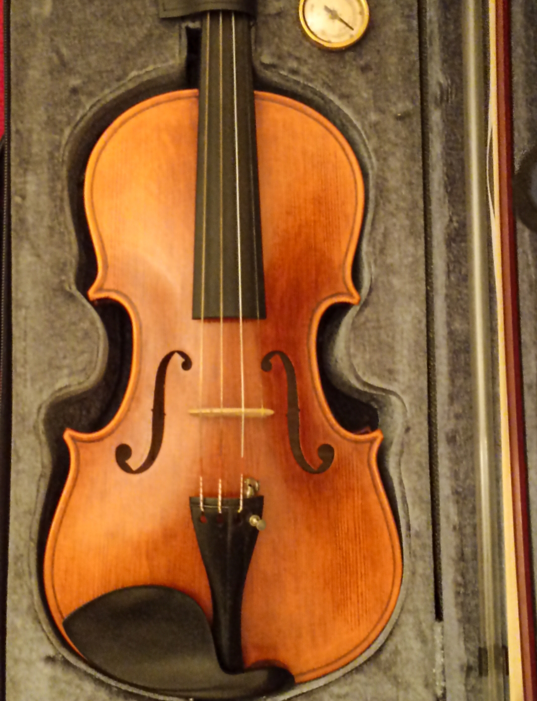 Stentor Arcadia 4/4 Profesyonel Keman 2