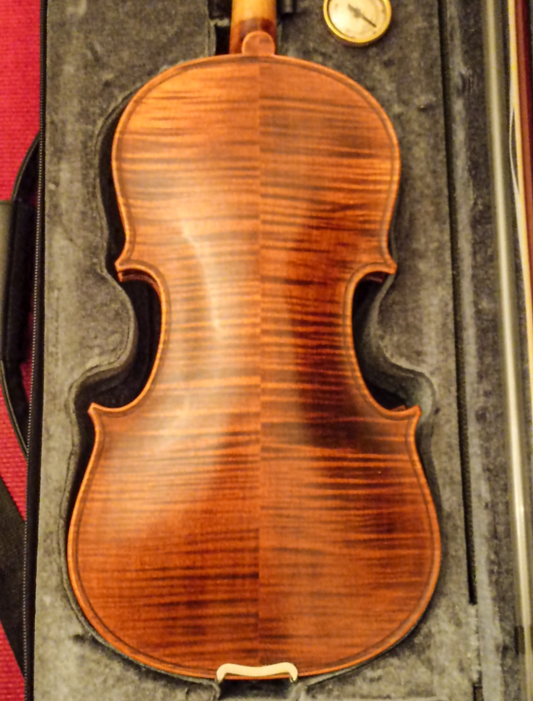 Stentor Arcadia 4/4 Profesyonel Keman 4