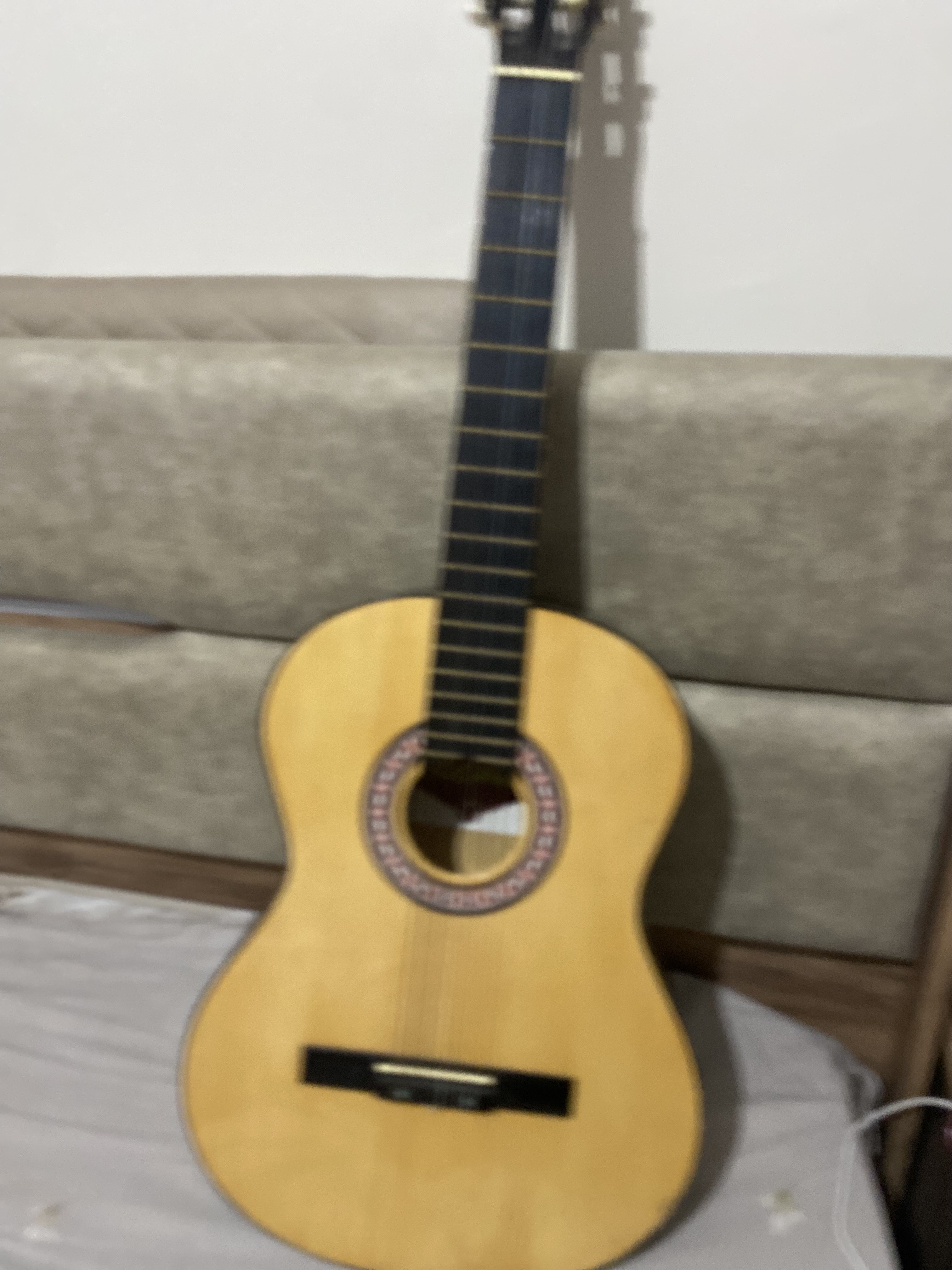 klasik gitar 2