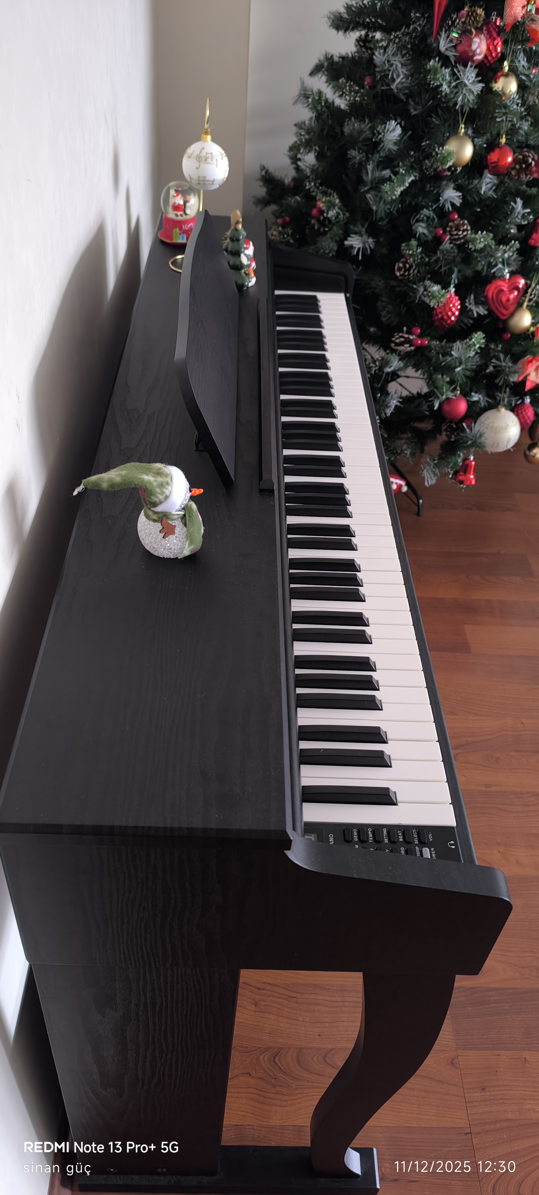 Ludorf Dijital Piyano 6