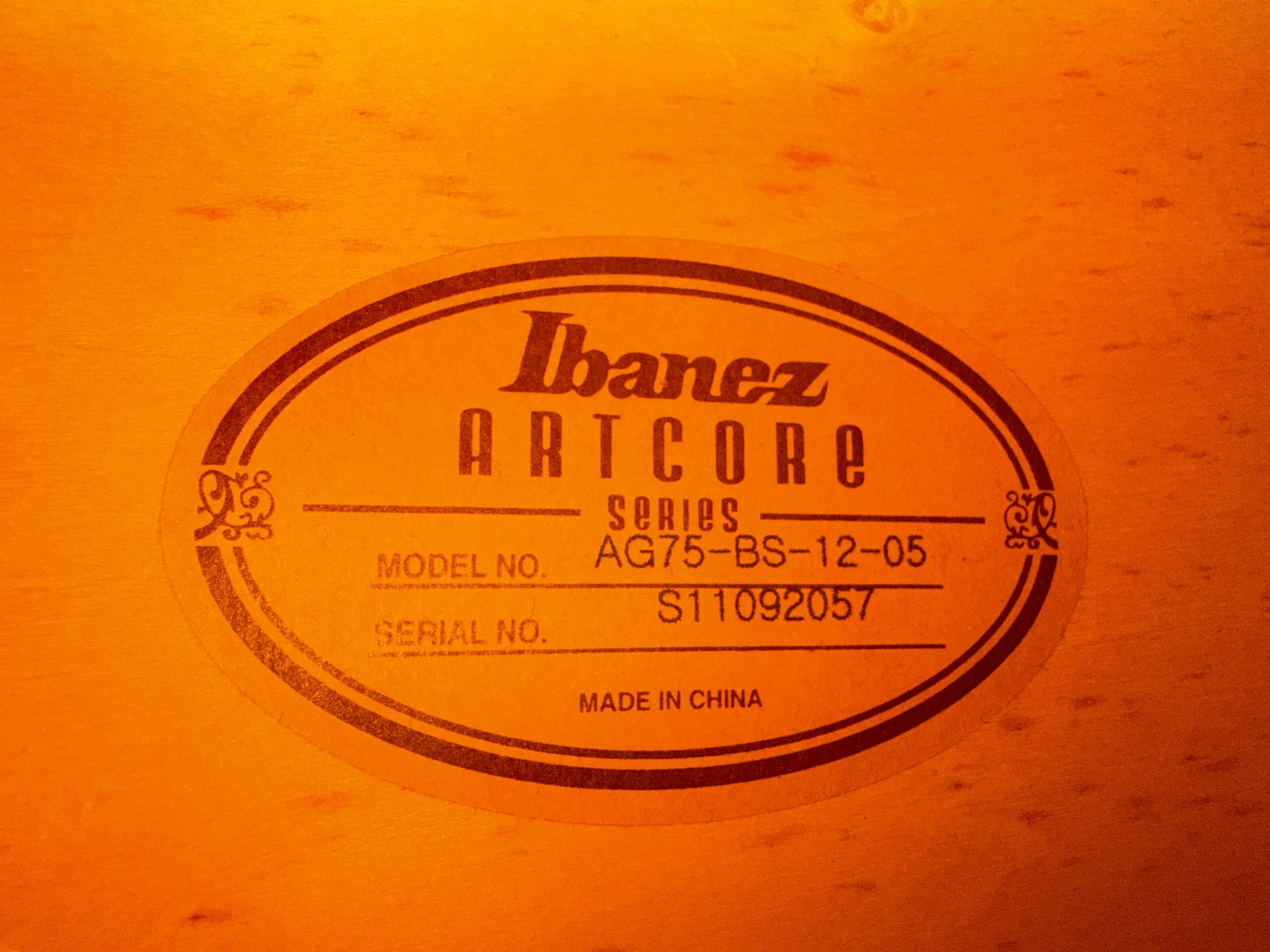 Ibanez AG75 3