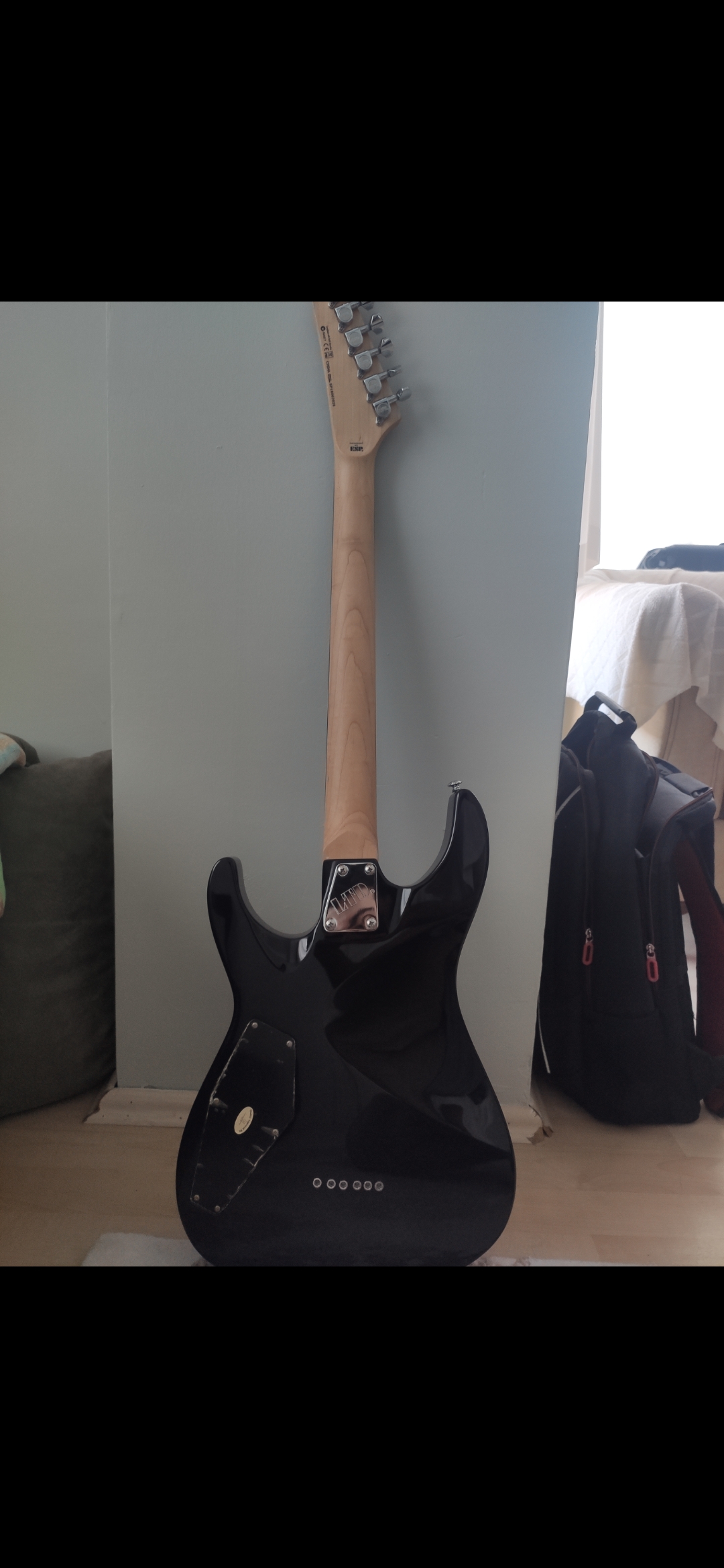 Esp Ltd MH-10 Kit Siyah Elektro Gitar 4