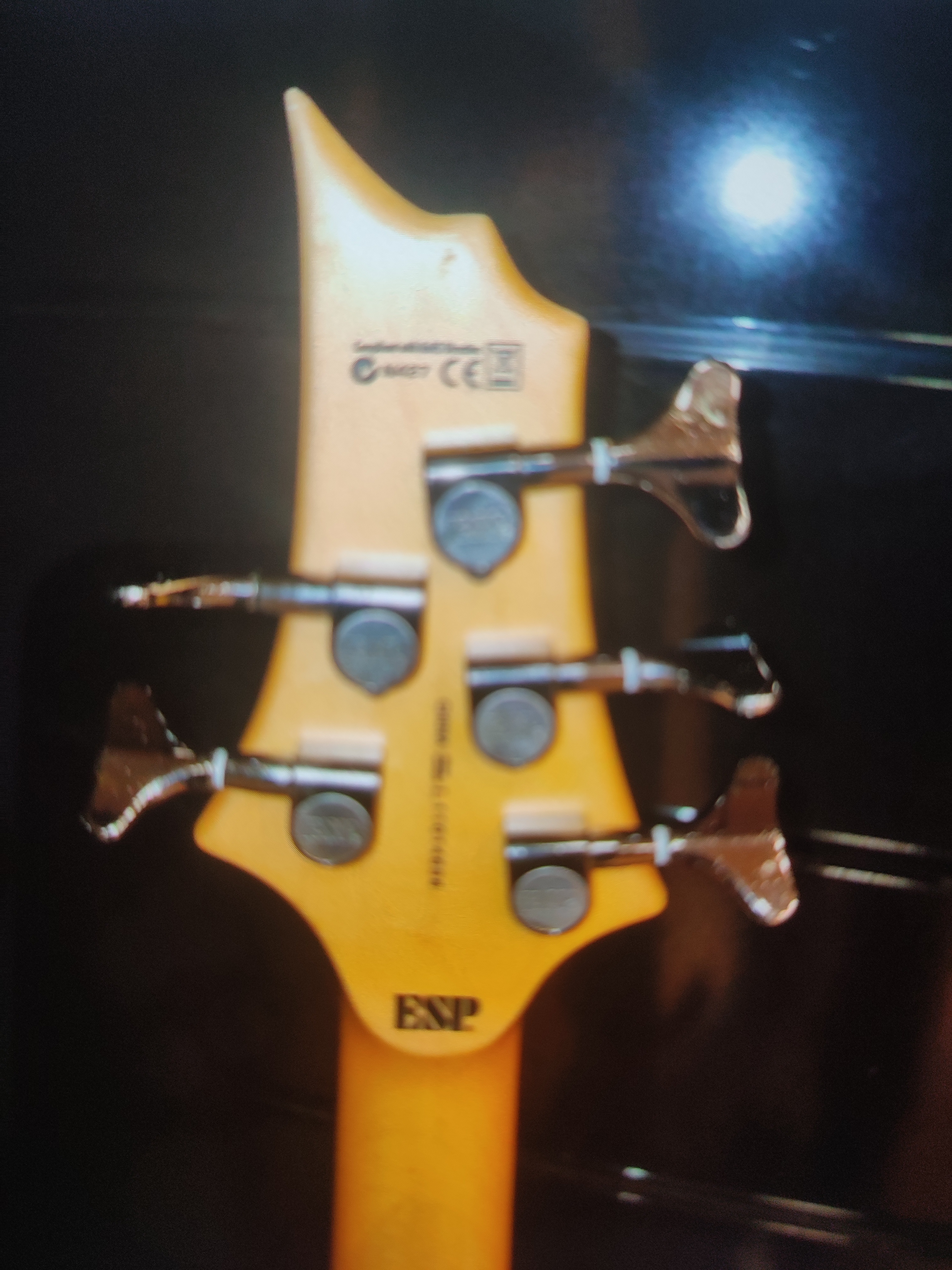 LTD 5 TELLİ BAS GİTAR 4