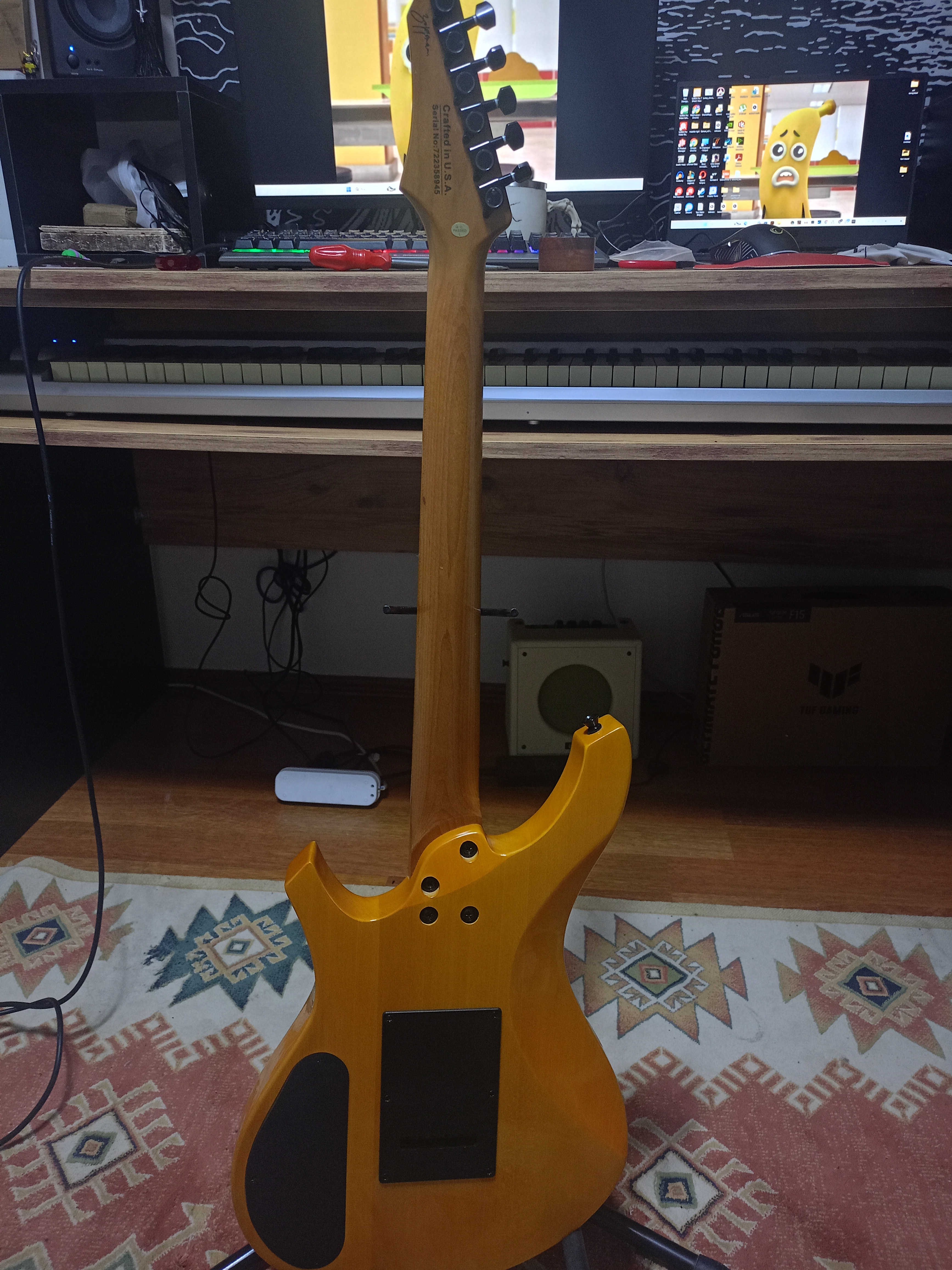 Zoppran Carneville Elektro Gitar 2