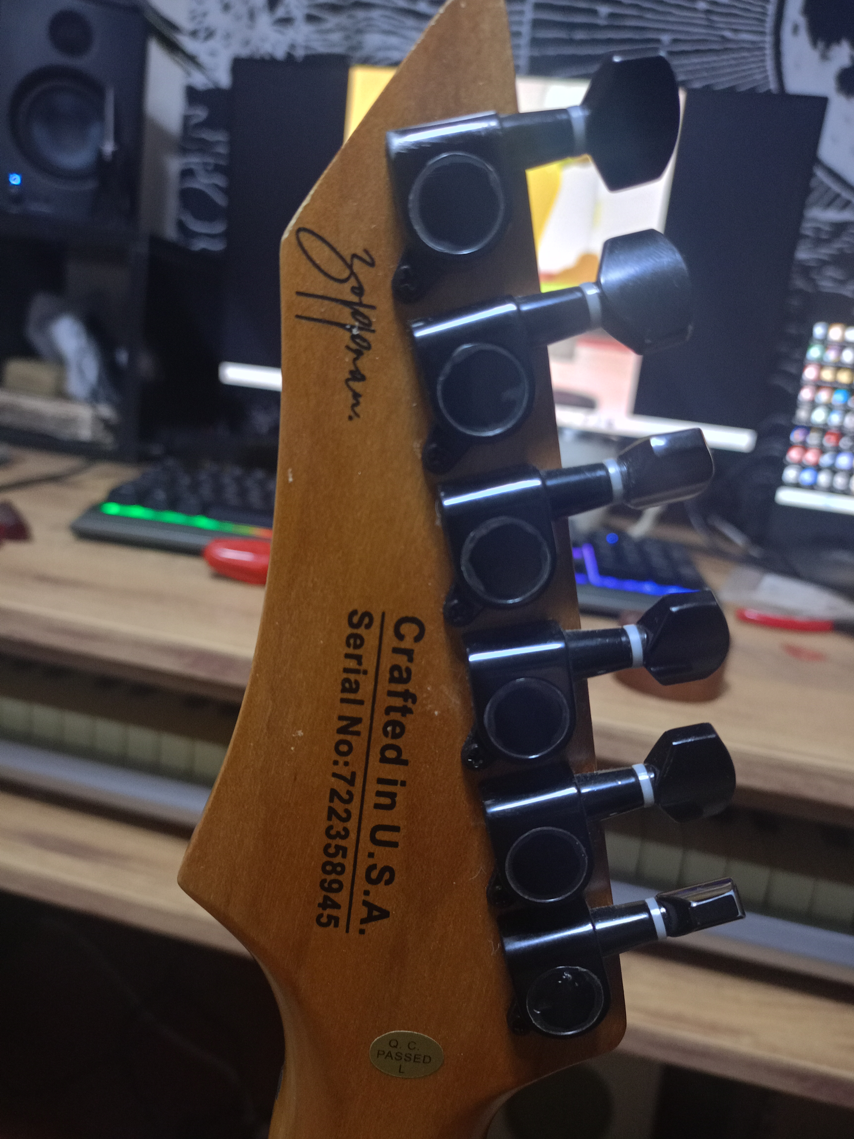 Zoppran Carneville Elektro Gitar 5