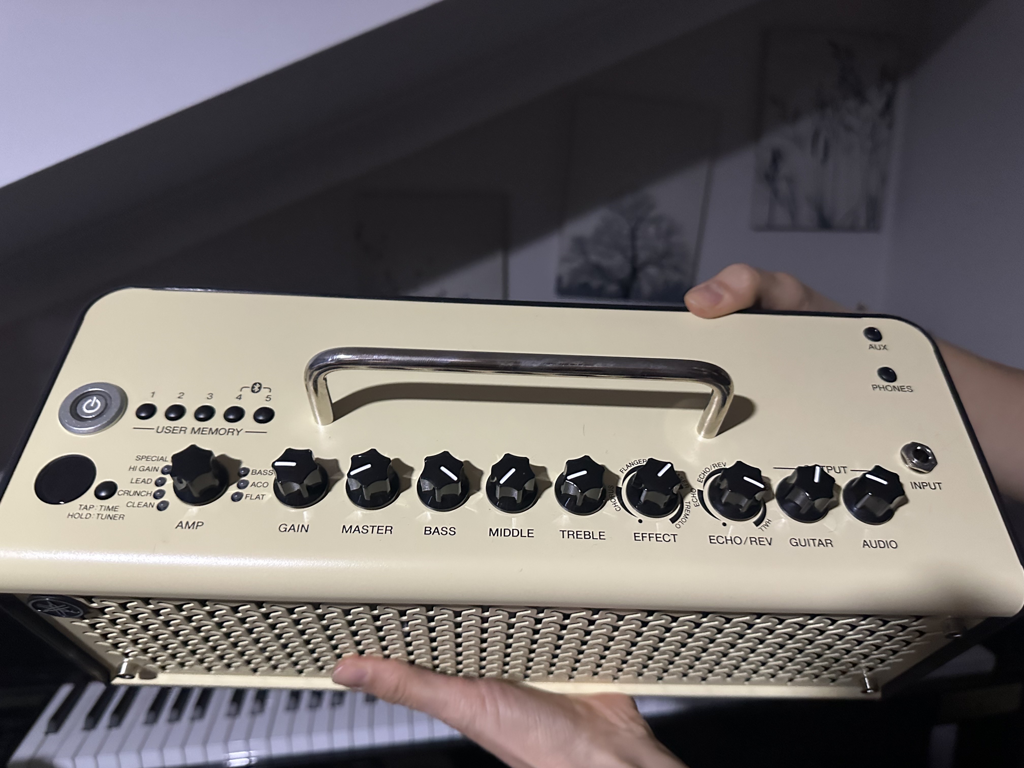 Yamaha THR10 II 2x3" 20-Watt Modeling 3