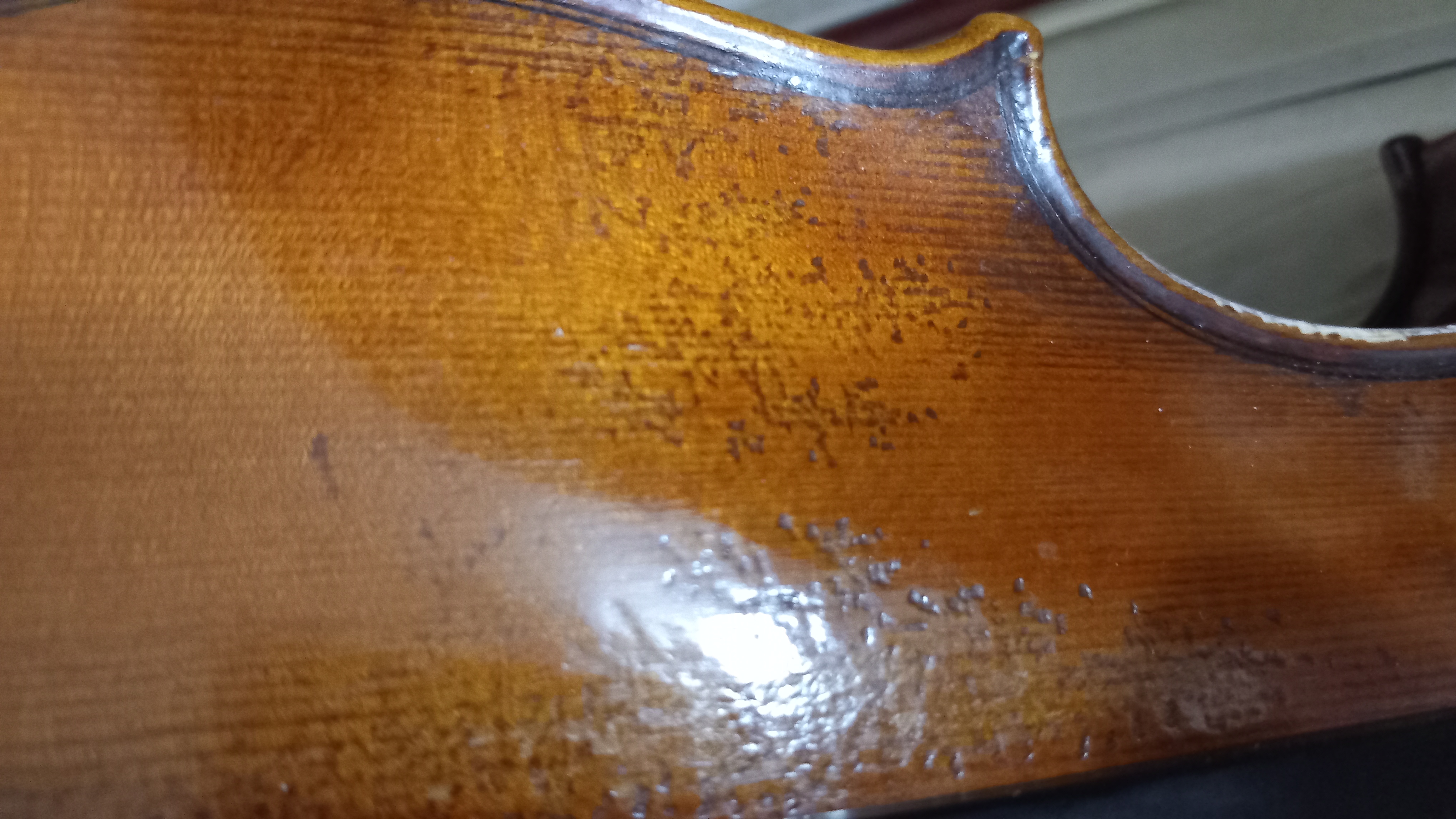 El Yapımı 20 senelik Keman 6