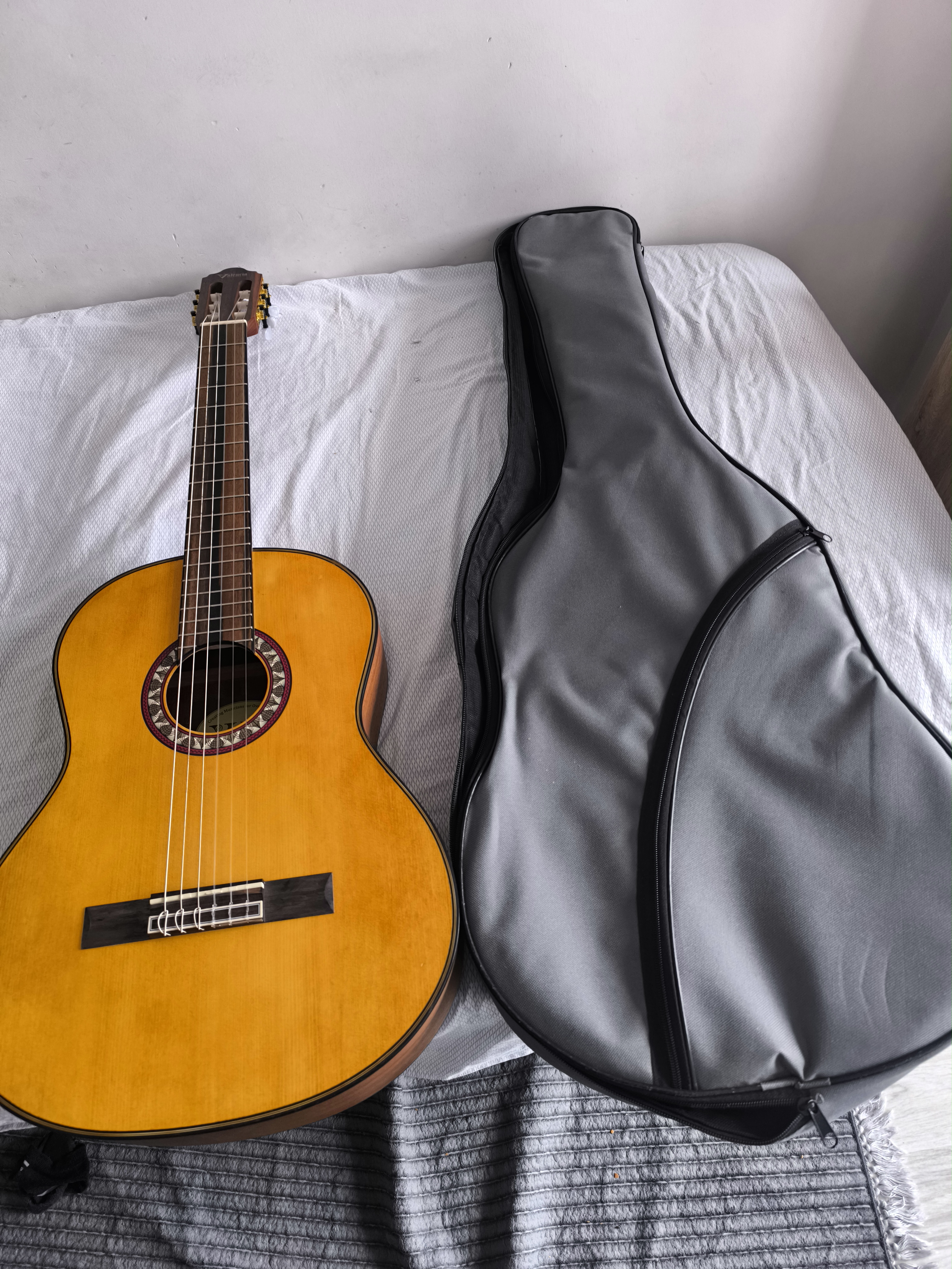 VALENCİA VC 404 KLASİK GİTAR 1