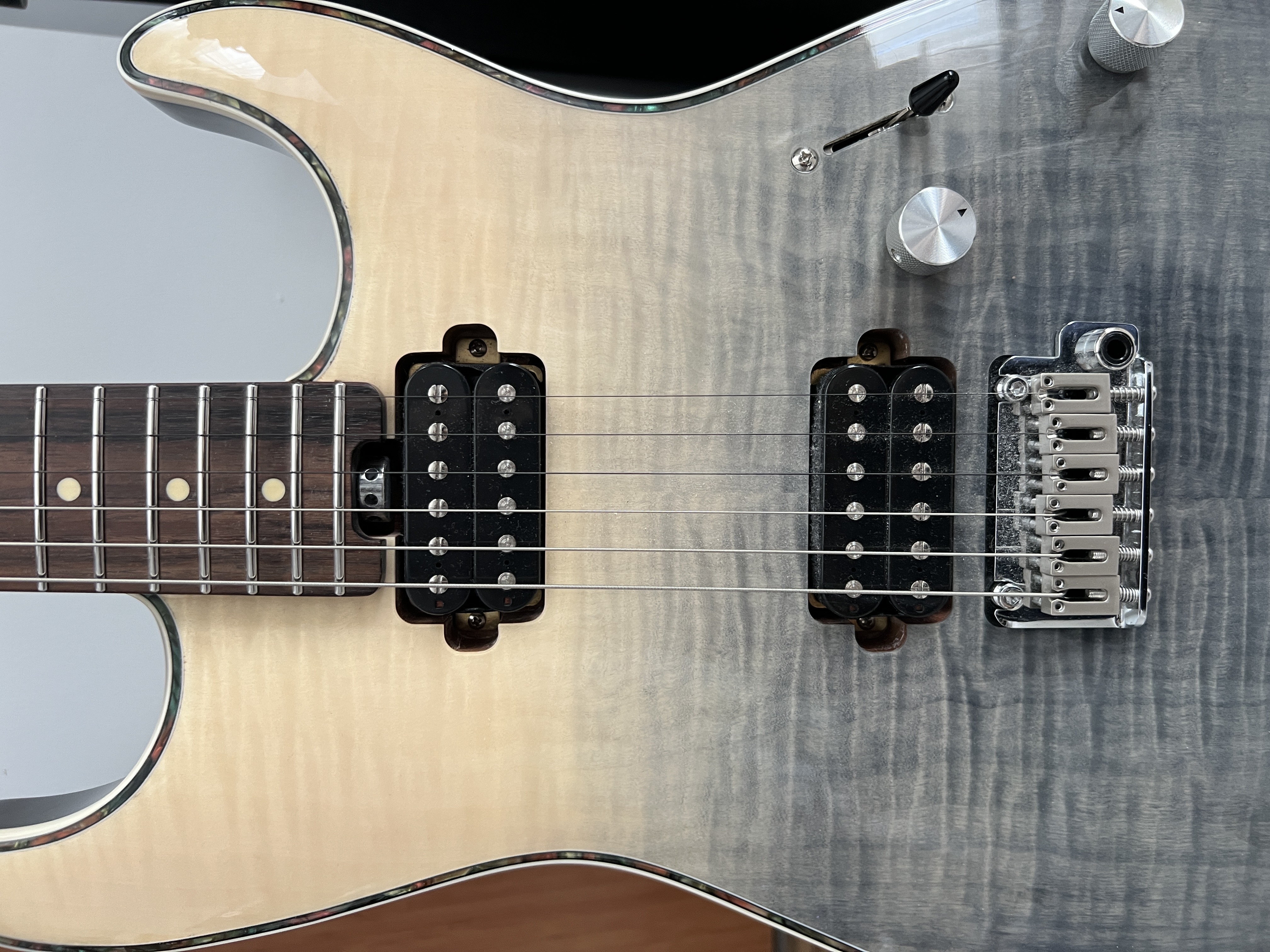 Eart EYP-ELITE Elektro Gitar 4