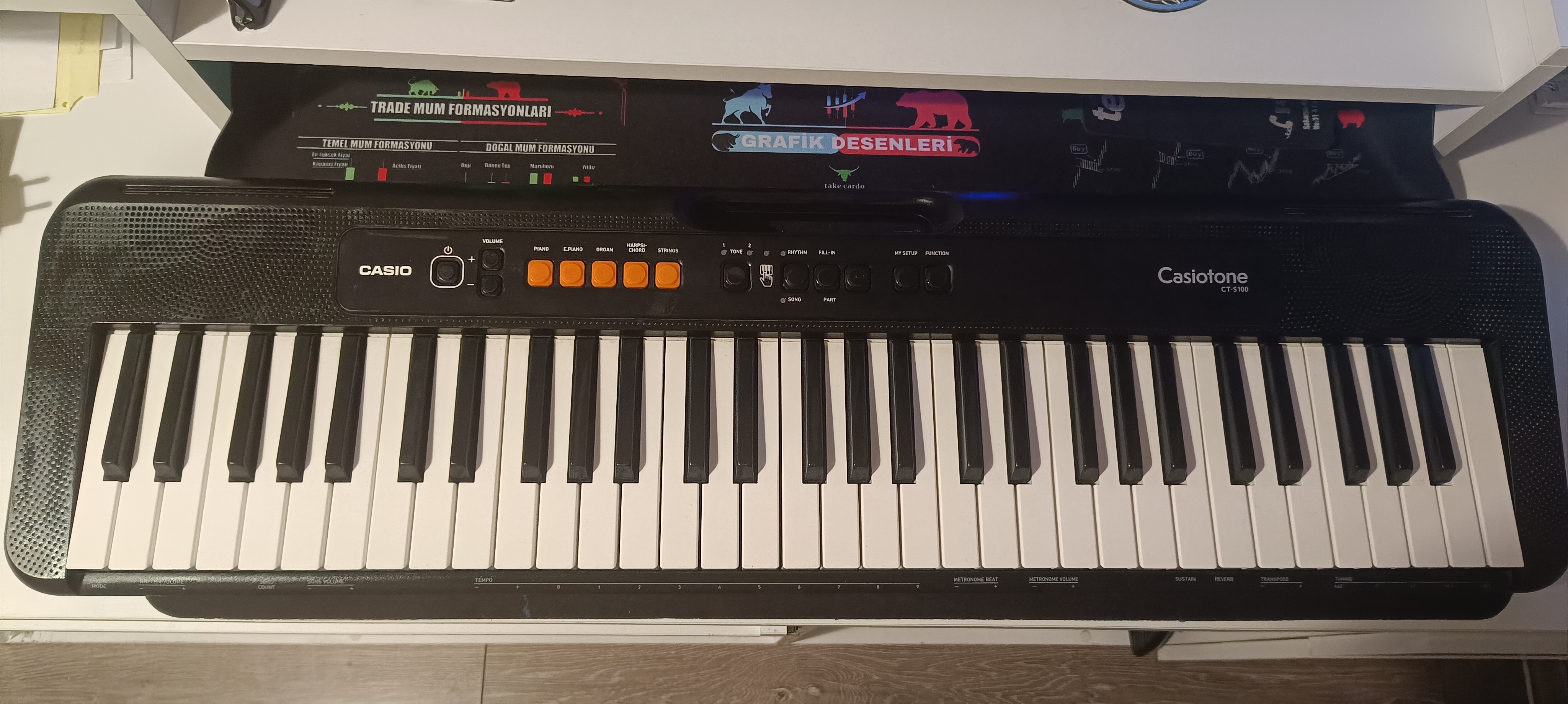 CASIO CT-S100 org ( Sehpa Dahil ) 1