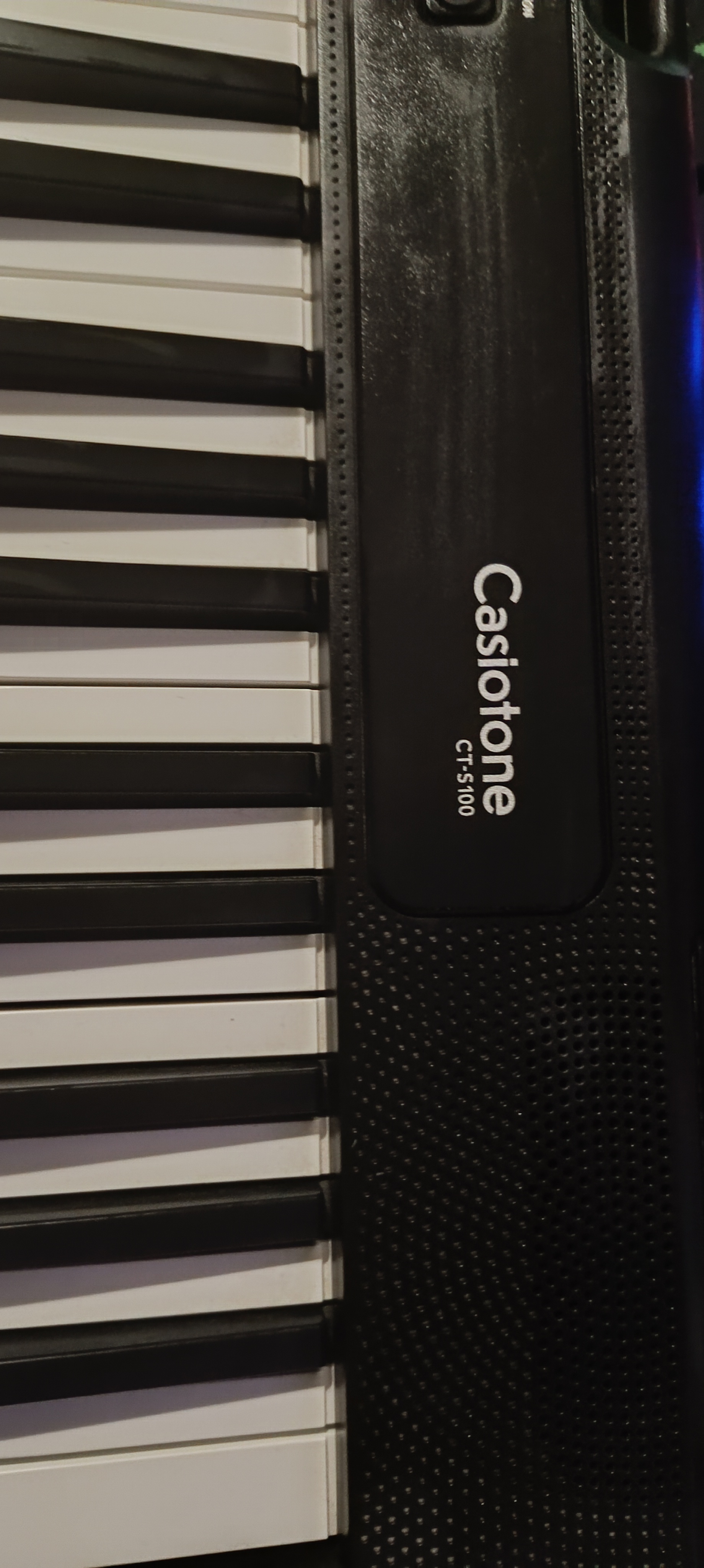 CASIO CT-S100 org ( Sehpa Dahil ) 3