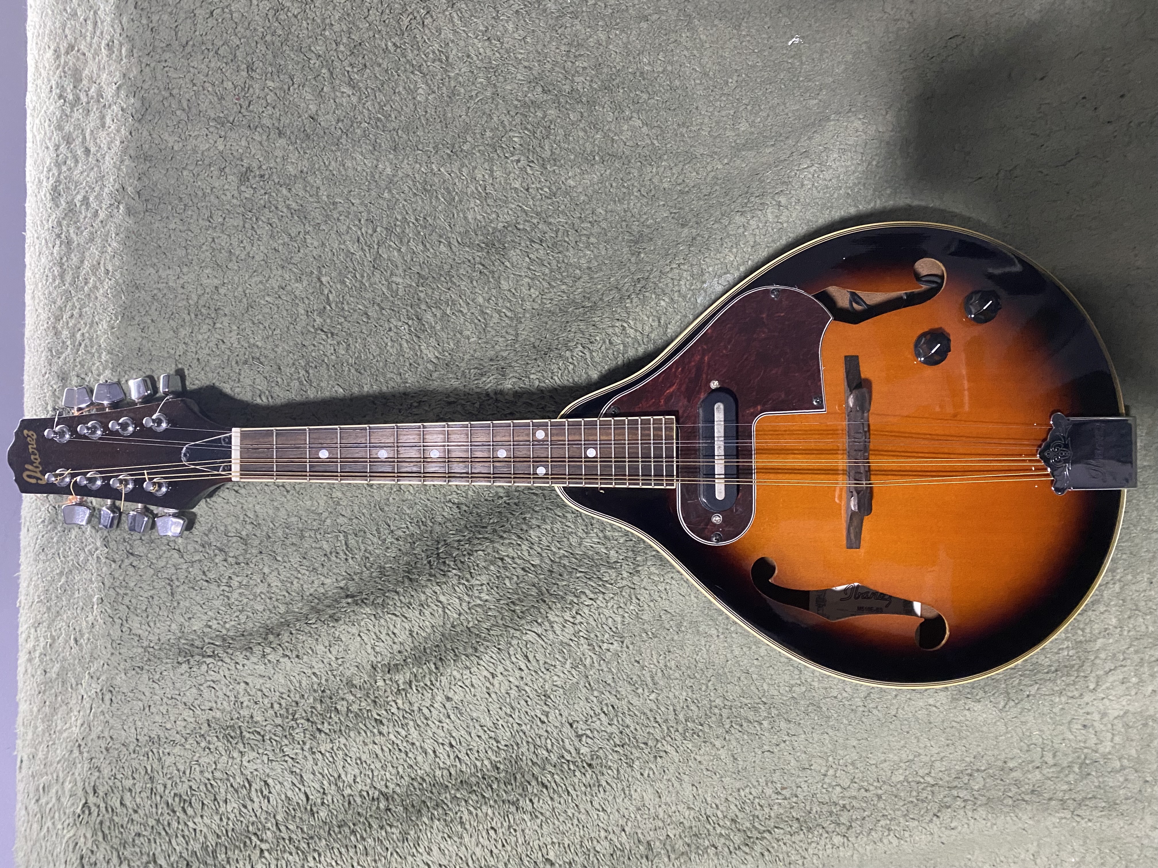 Elektro Mandolin 2