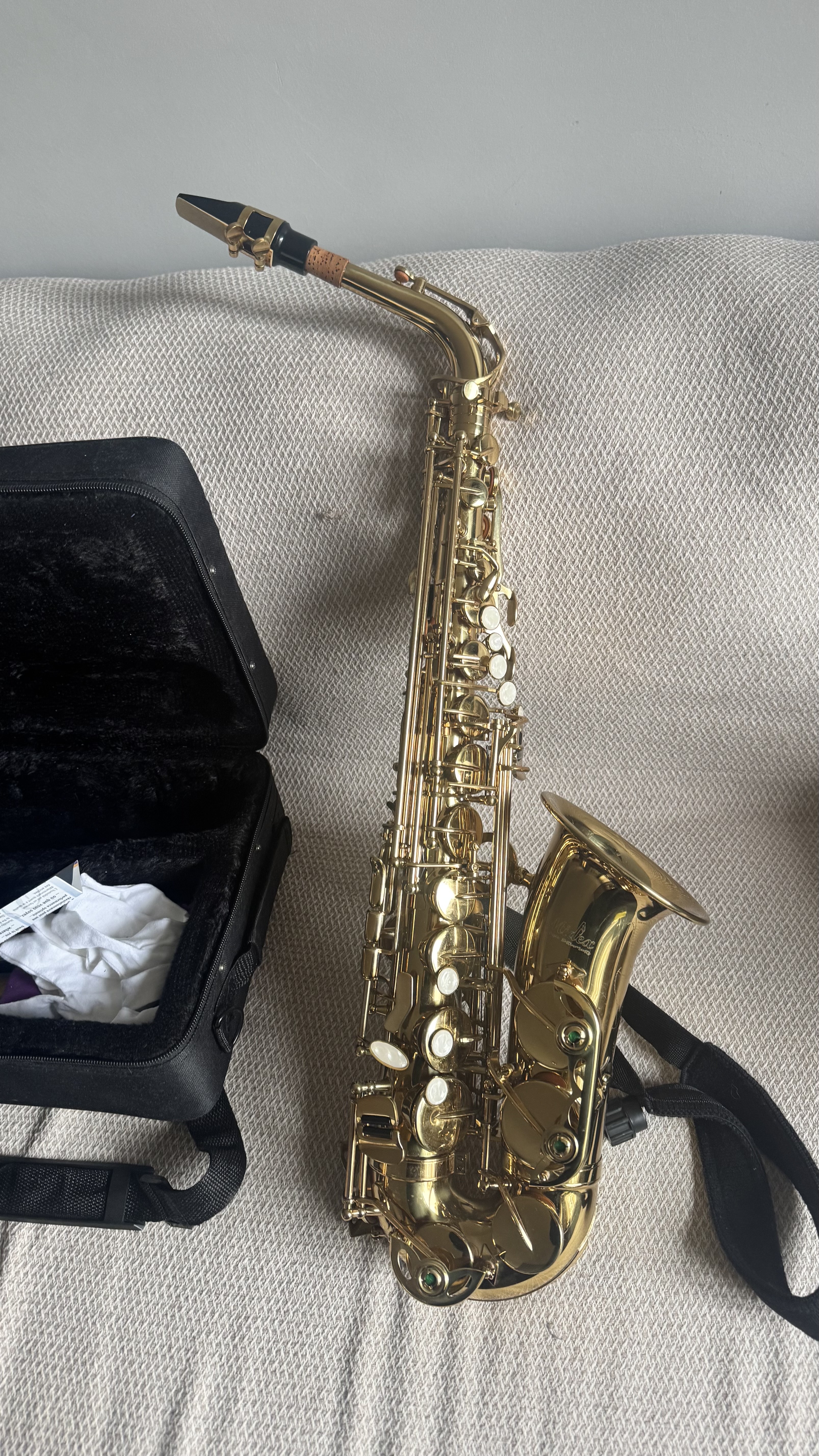 Midex SF-8000 Gold Profesyonel Alto Saksafon Çanta ve Aksesuar 4