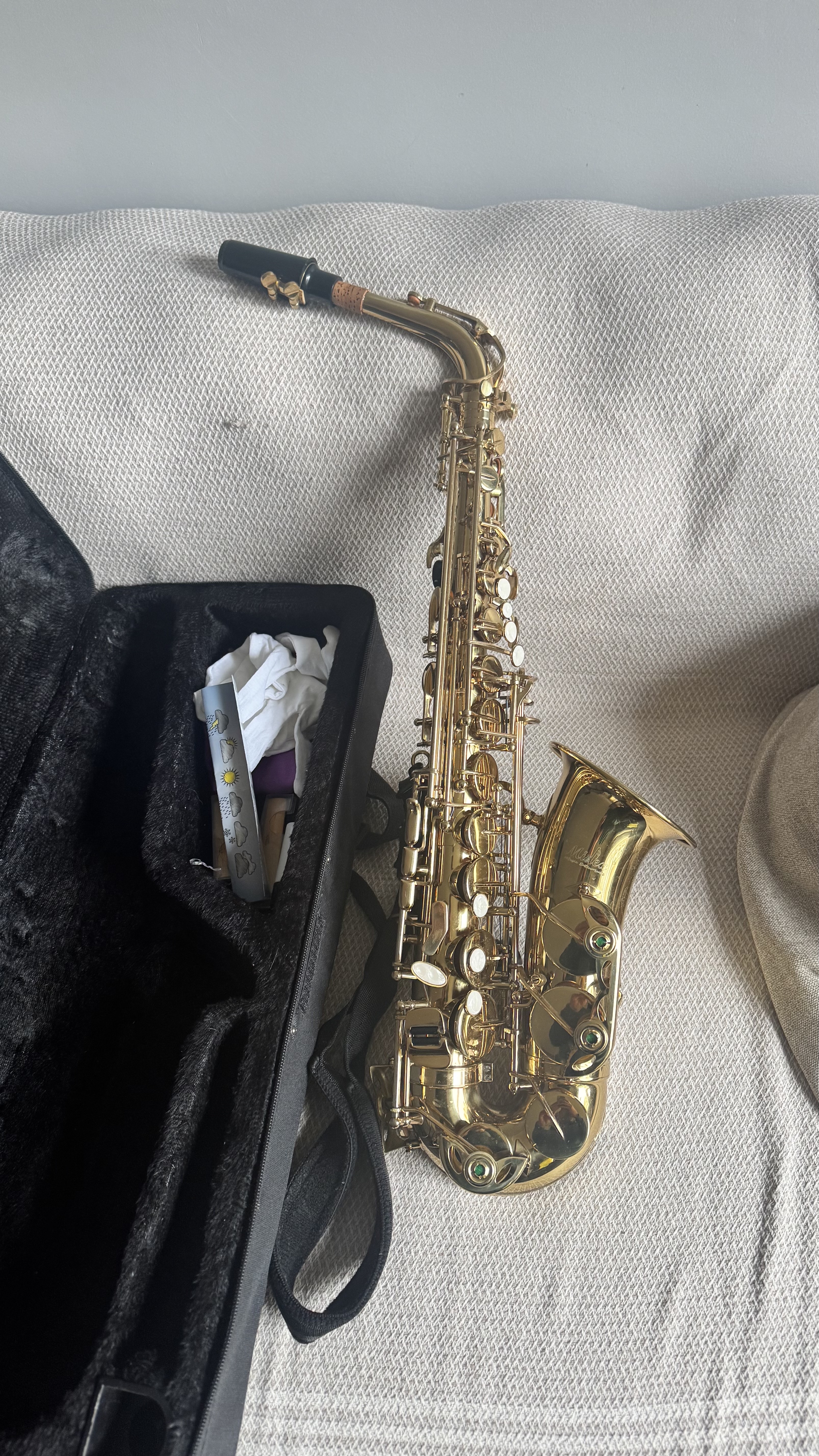 Midex SF-8000 Gold Profesyonel Alto Saksafon Çanta ve Aksesuar 2