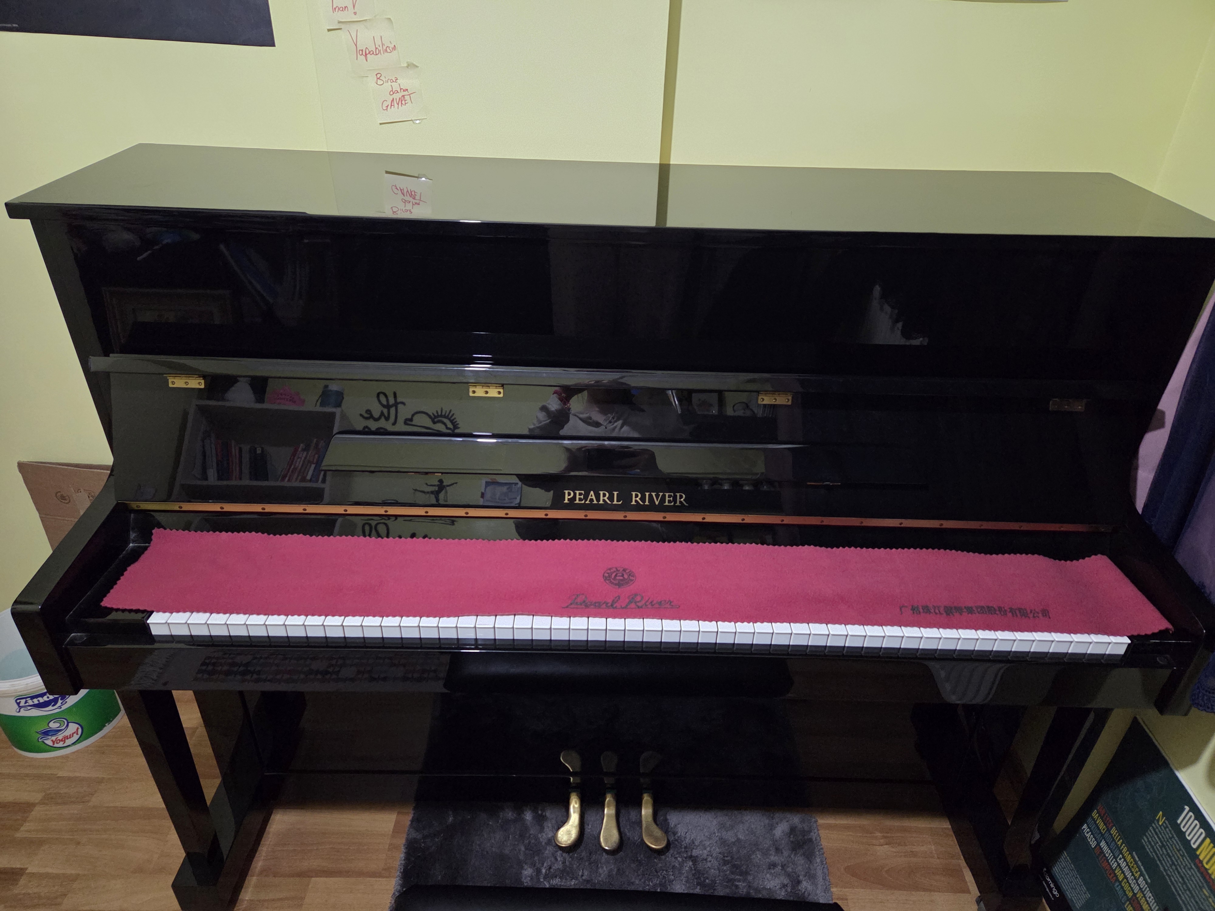 Pearl River UP118 Akustik Piyano 5