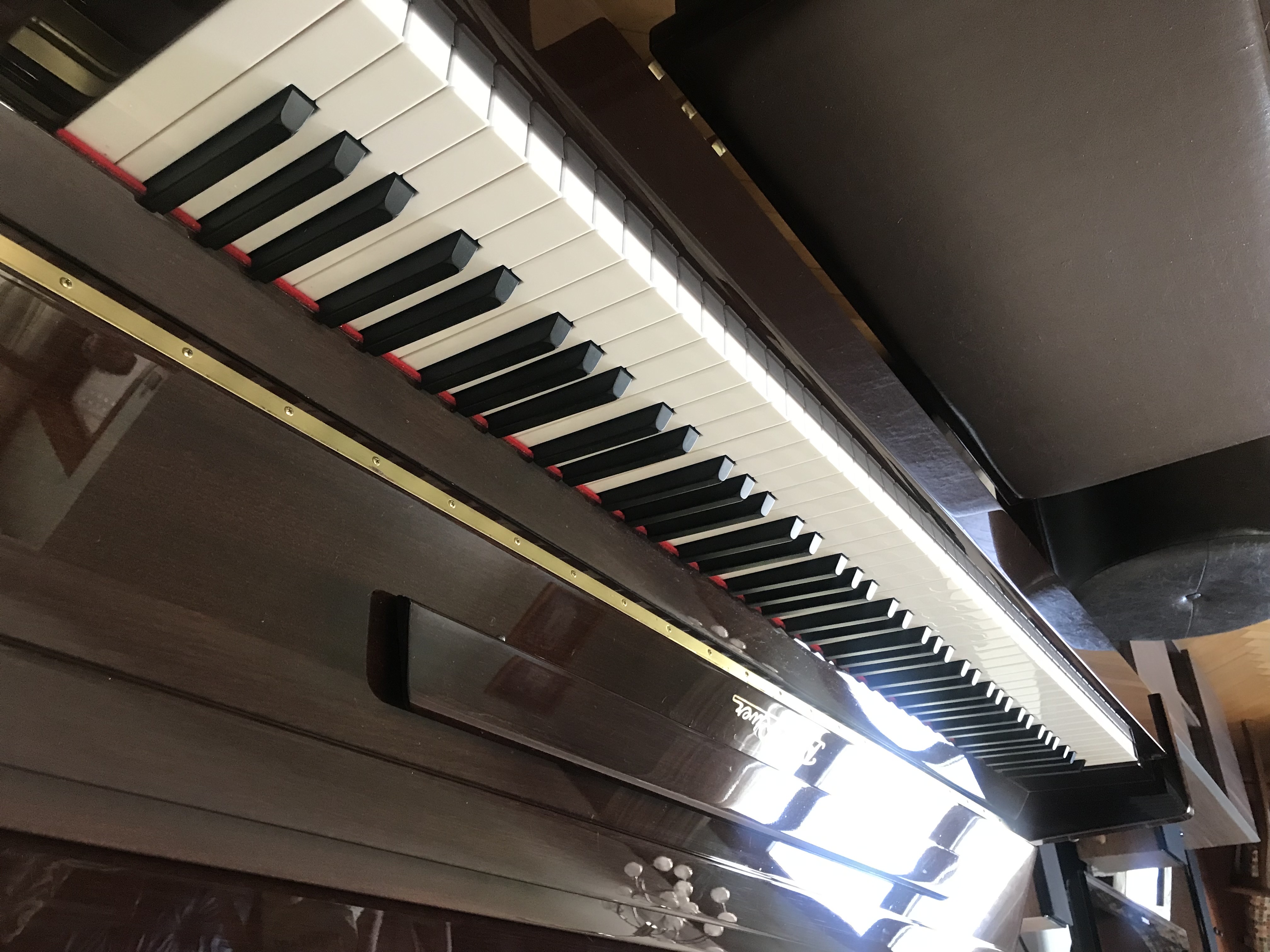 Pearl River UP118 marka akustik duvar piyanosu 4