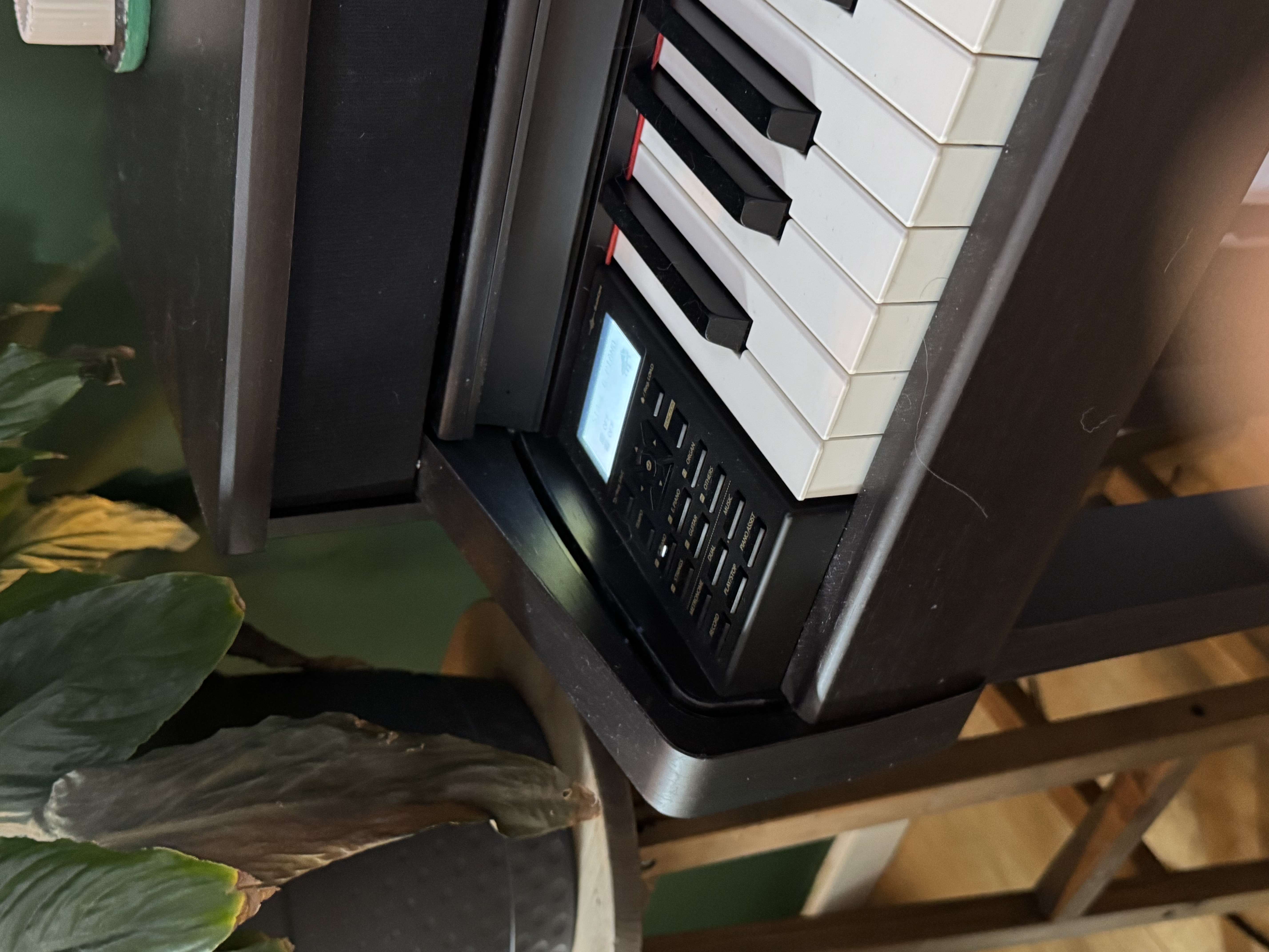 Dynatone DPS-95RW Dijital Piyano (Gülağacı) 6