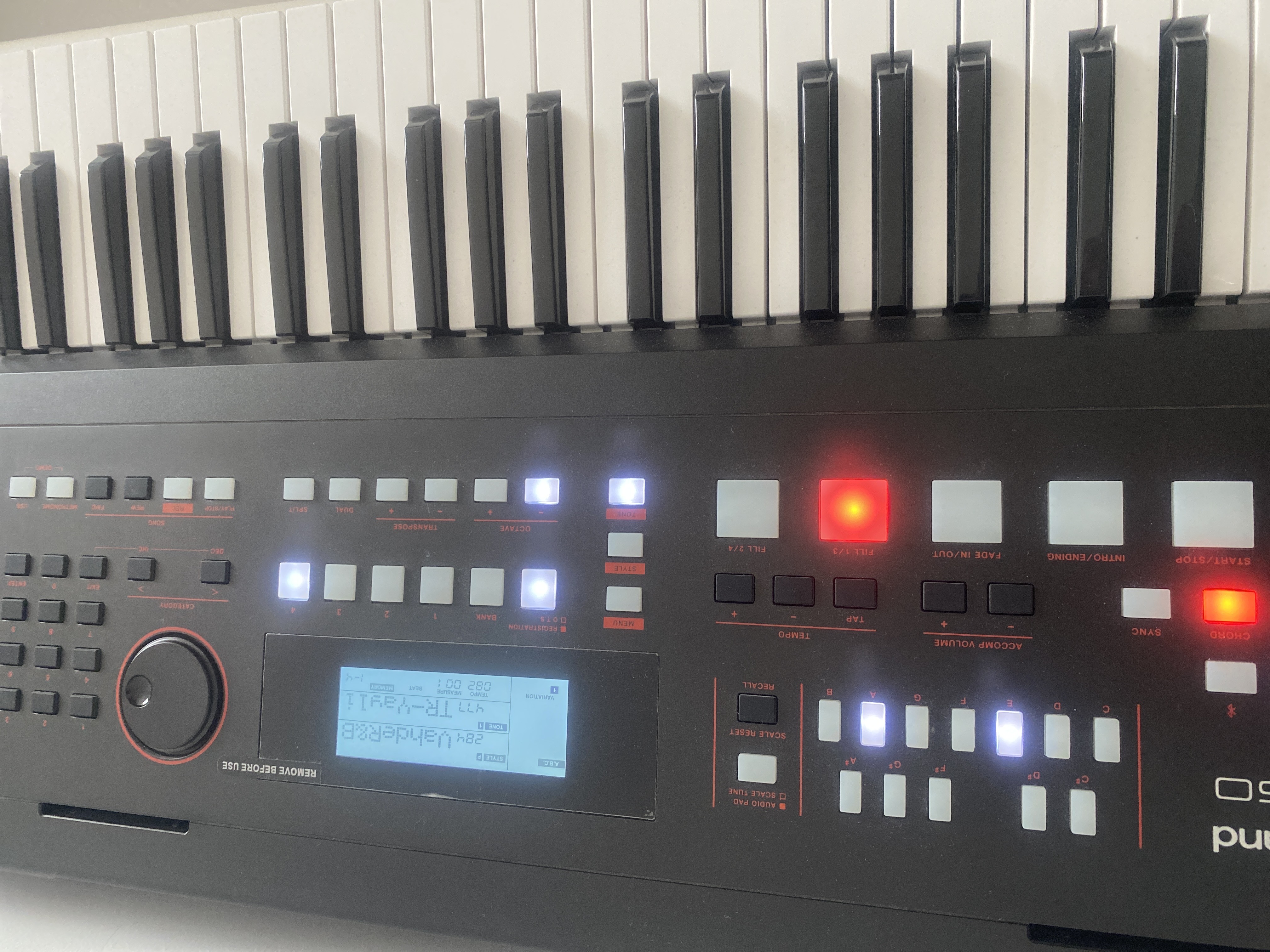 roland E-x50 org 3